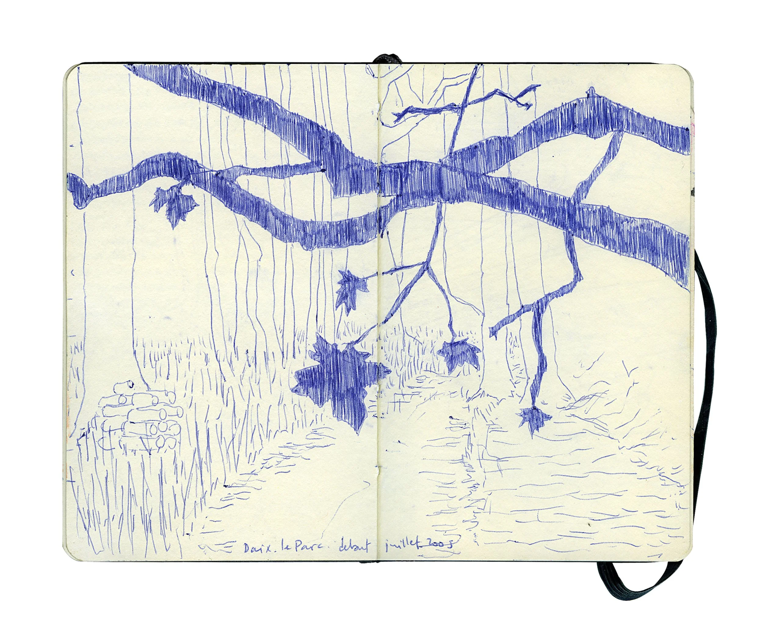 A hand-drawn illustration of a tree with large branches and leaves, overlooking a waterbody with a small dock and grass in the foreground.