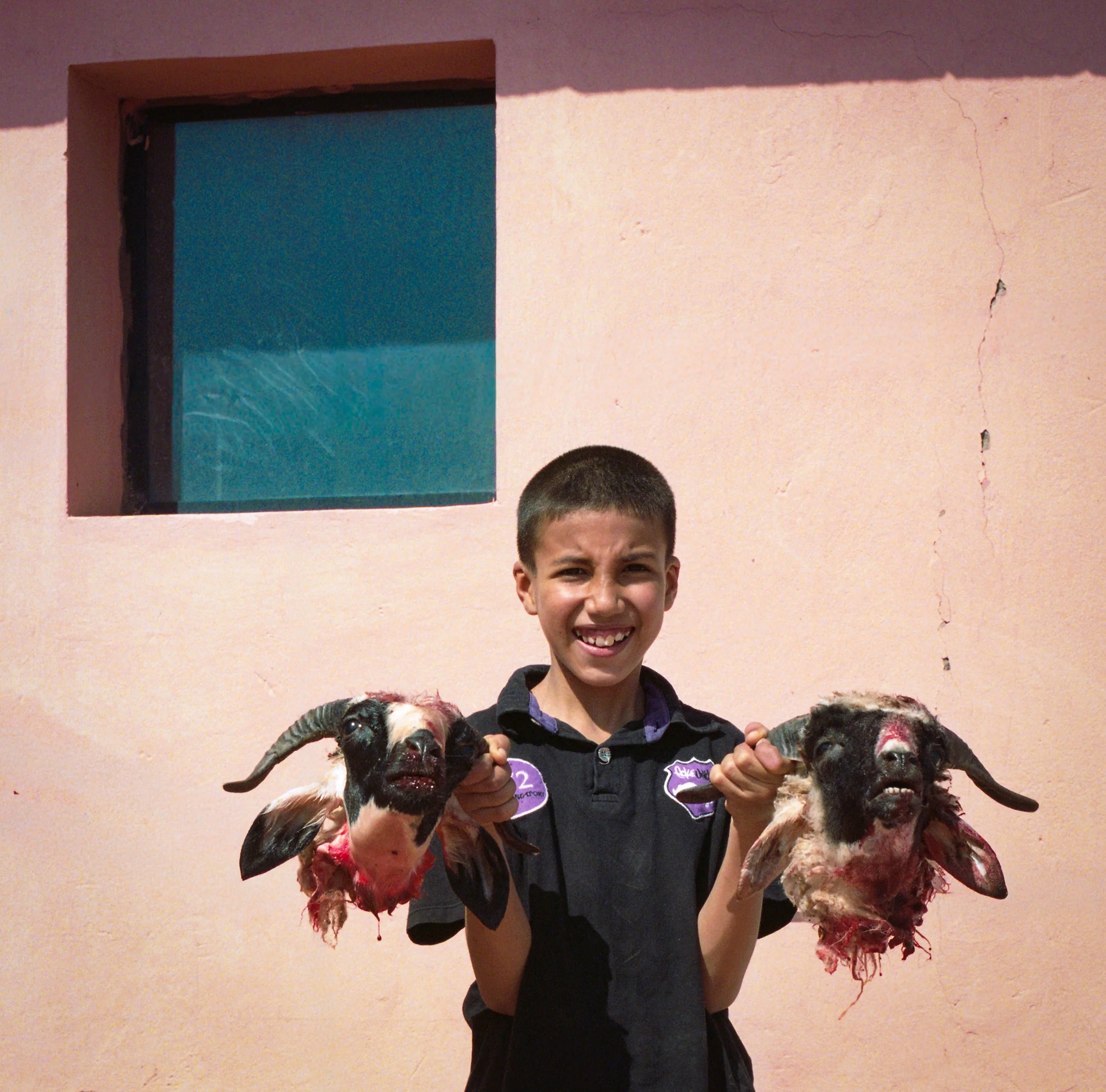 A young boy smiling and holding two goat heads, one in each hand, in front of a pink wall with a small window.