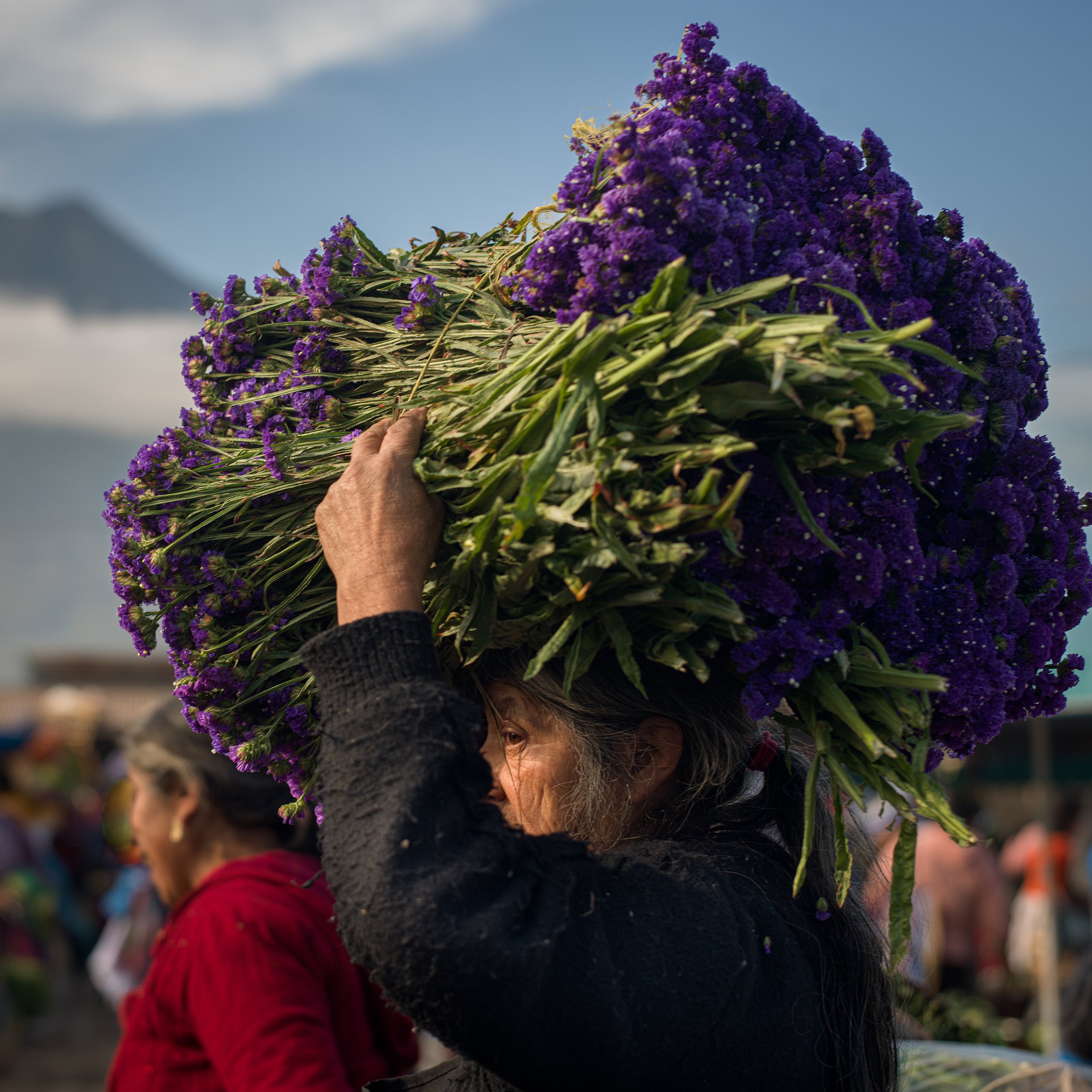 In Antigua market, Guatemala, A woman carrying a large bouquet of purple flowers on her head at an outdoor market.
