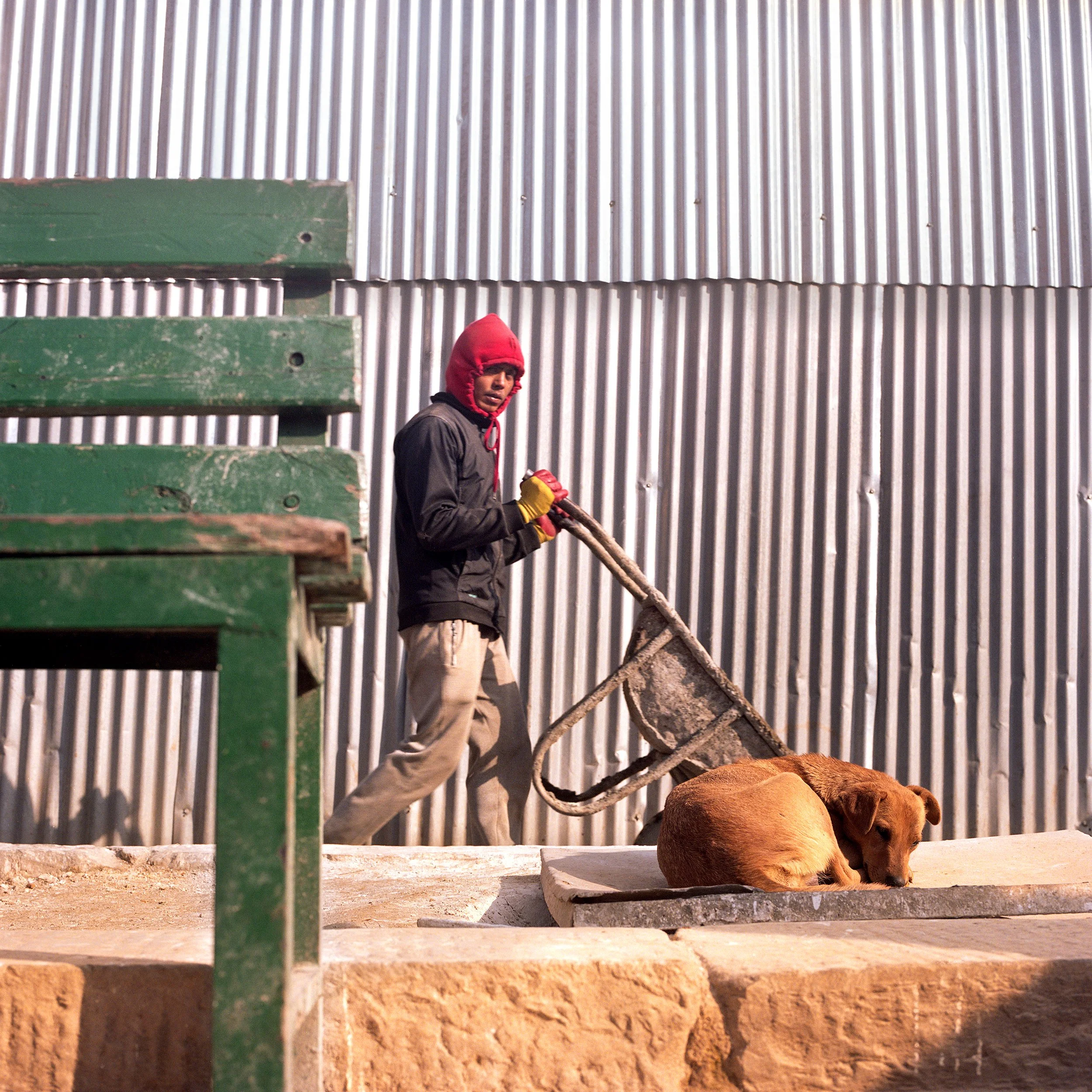 In Katmandu, A young man in a red hoodie and black jacket pushes a wheelbarrow near a brown dog lying on a platform in front of a corrugated metal wall.