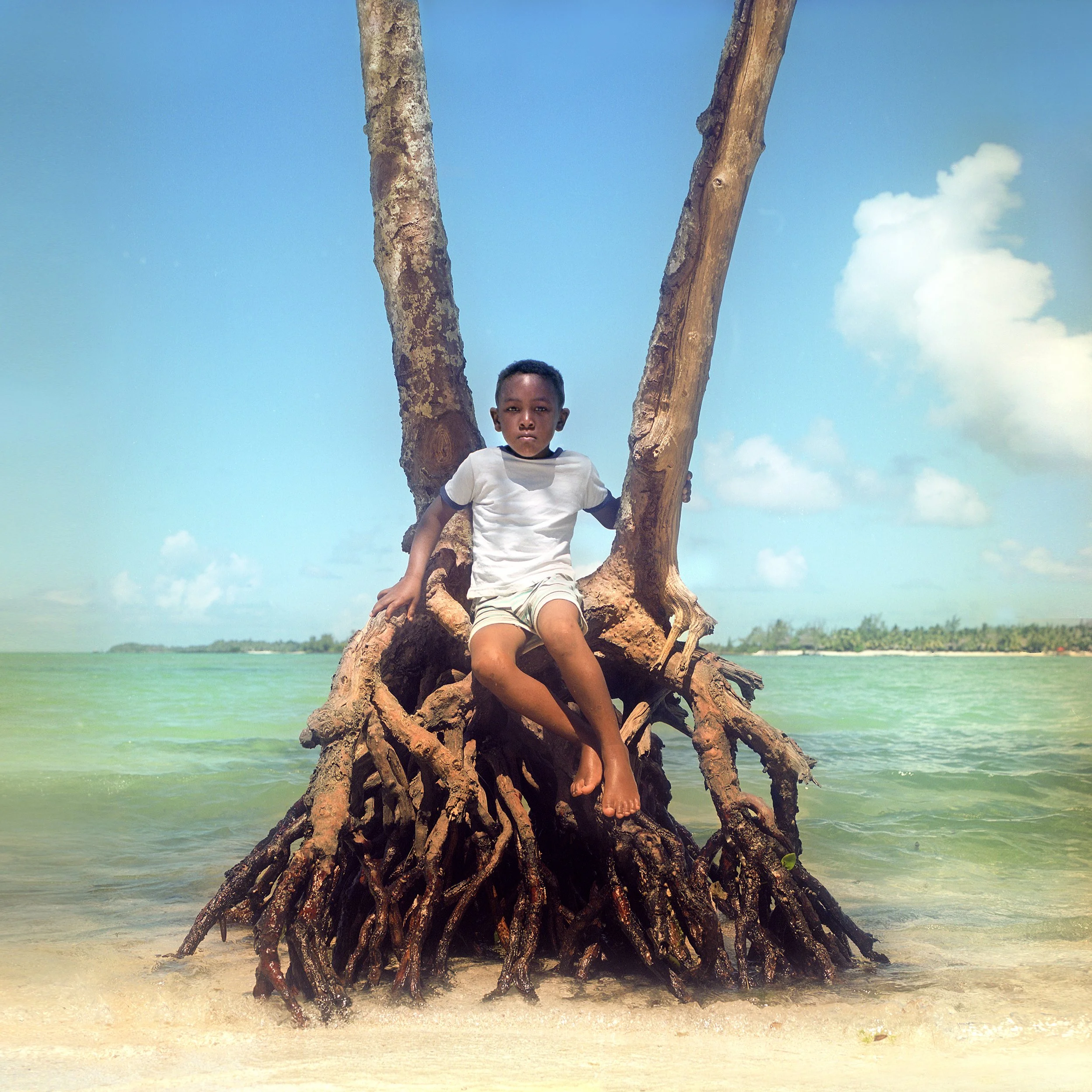 IN Mauritius, Post Lafayette, A young child sitting on a large tangled root of a tree at the edge of a body of water, with a blue sky and some clouds in the background.