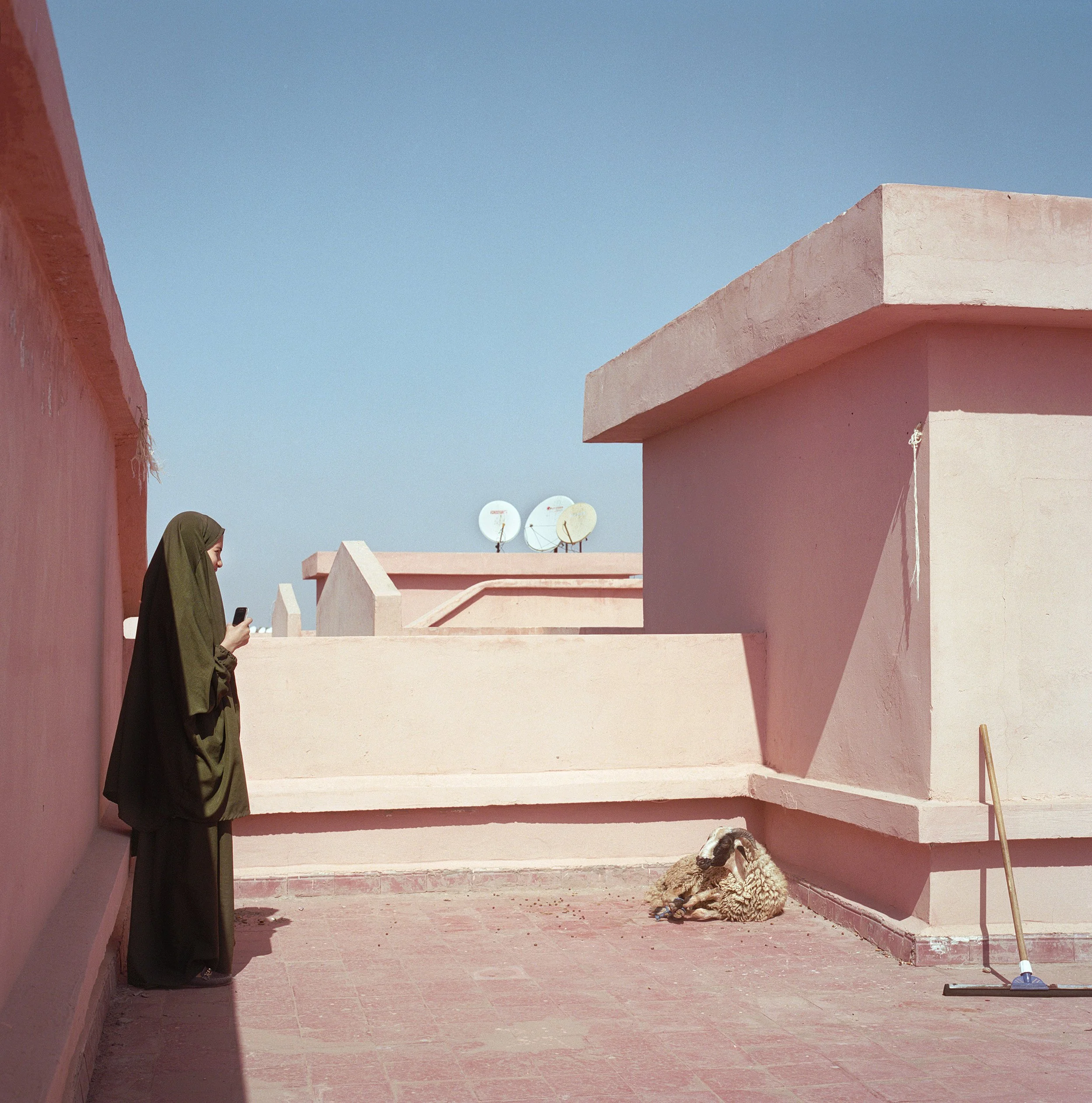 A woman in a dark green hijab and dress standing on a pink rooftop, looking at her phone. A sheep is lying on the rooftop near a broom. The sky is clear and blue, with satellite dishes on nearby rooftops.