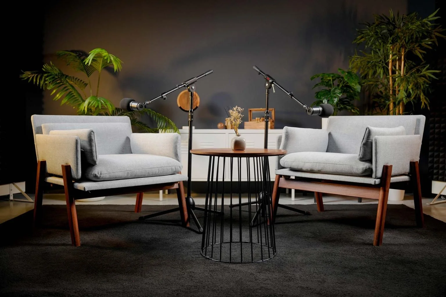 Two gray armchairs facing each other with a small round wooden table in between, microphones set up in front of each chair, and plants in the background.