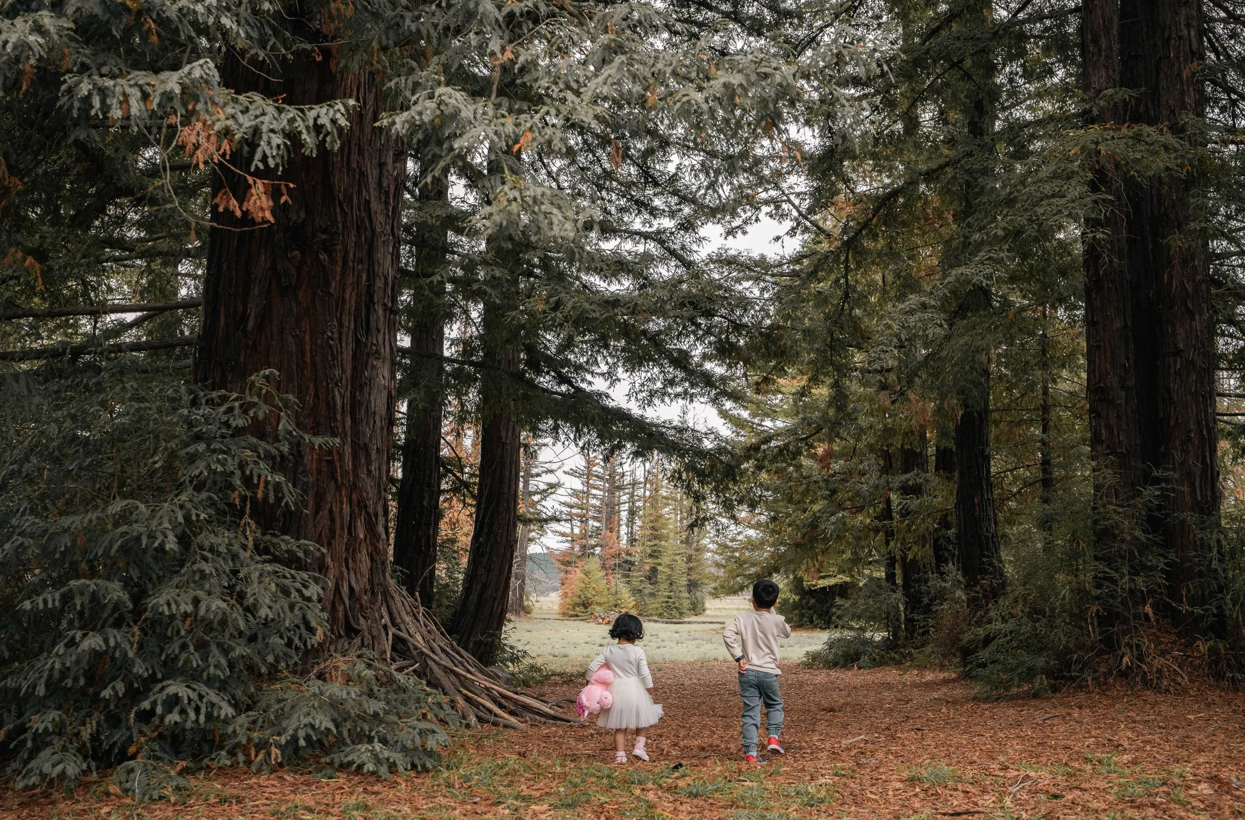 natural-family-photoshoot-canberra.jpg
