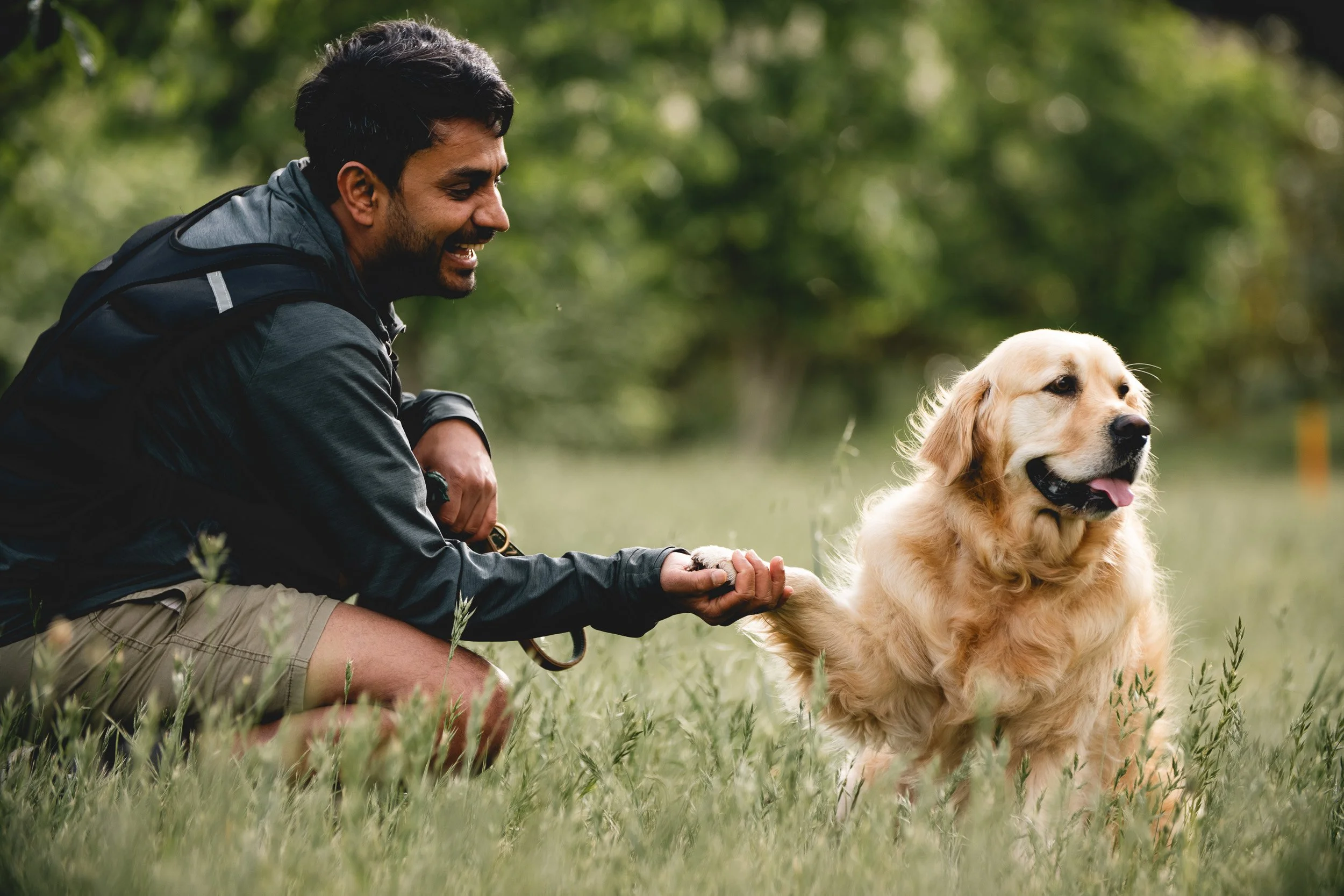 canberra-pet-photography.jpg