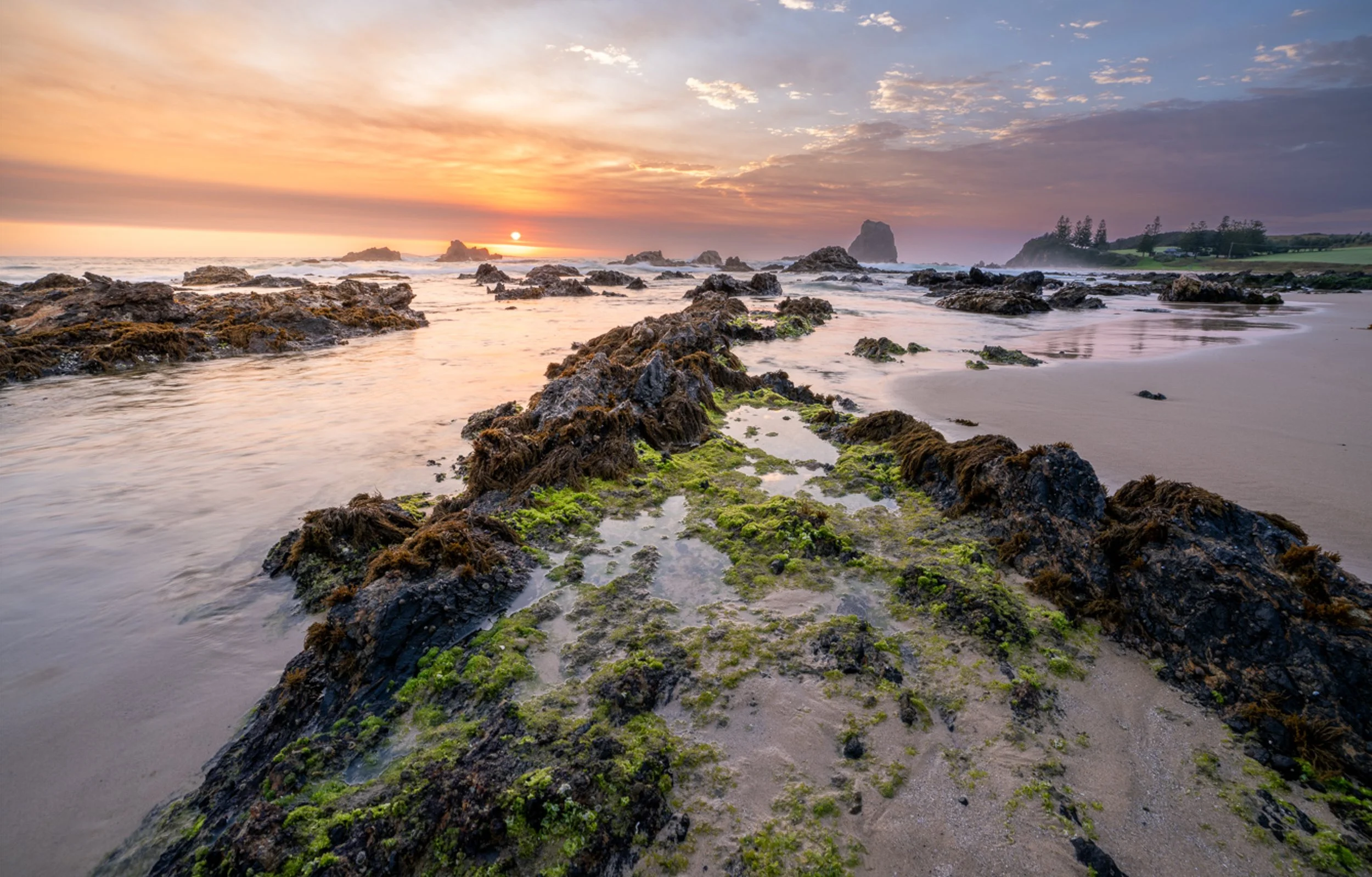 Glasshouse Rocks.jpg
