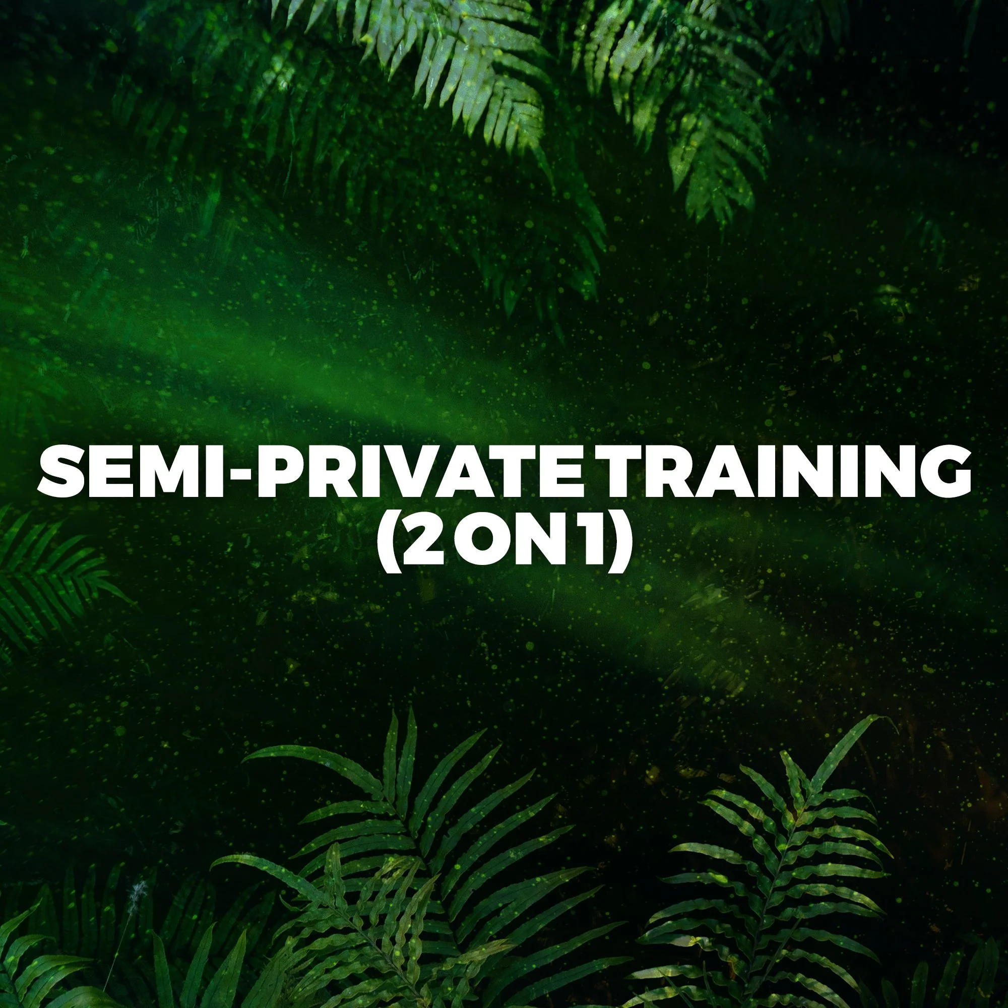 Semi-Private Training (2 on 1)