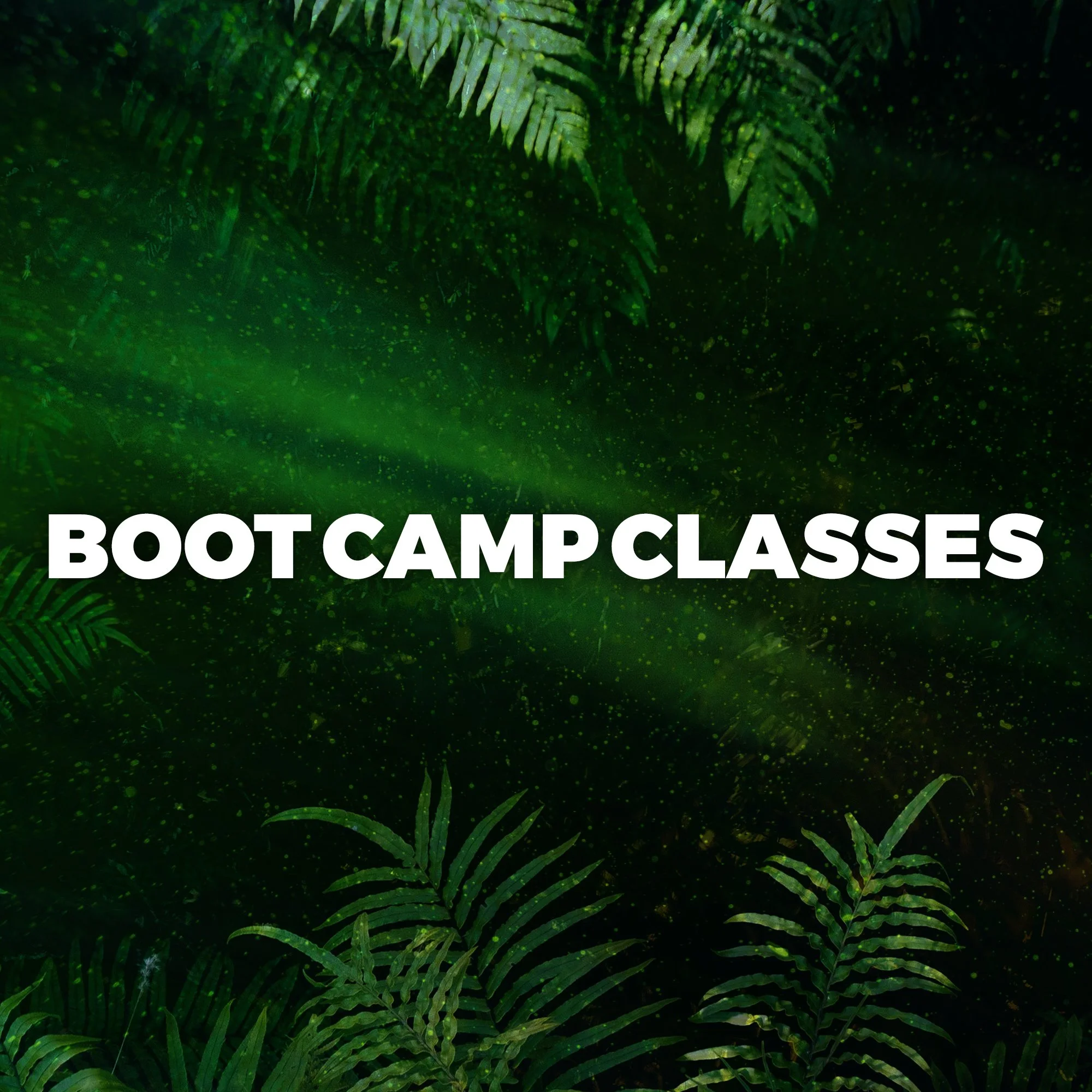 AD-BOOT CAMP GRAPHIC.jpg