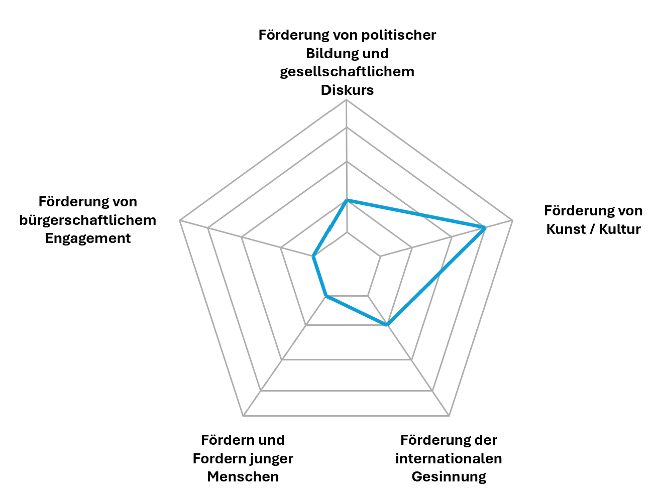Radar-Chart mit fünf Kategorien zur Förderung von Kultur, gesellschaftlichem Engagement, jungen Menschen, internationaler Gesinnung und Bildung.