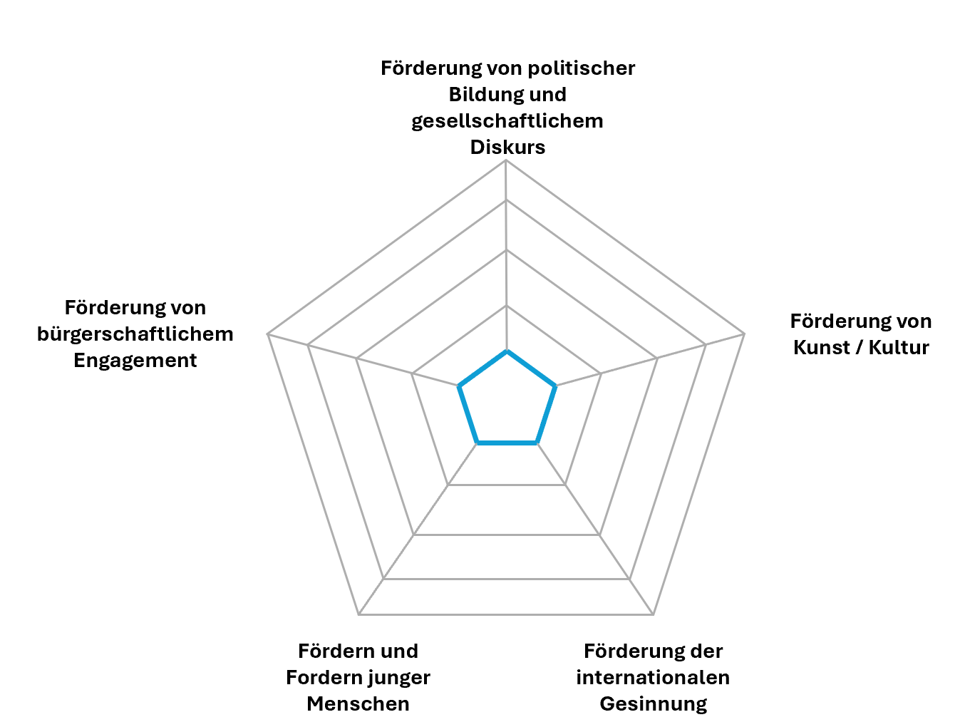 Ein Radar-Diagramm mit sechs Achsen, die verschiedene Förderbereiche darstellen: politische Bildung, gesellschaftliches Diskurs, Kunst und Kultur, internationale Gesinnung, junge Menschen, bürgerschaftliches Engagement.