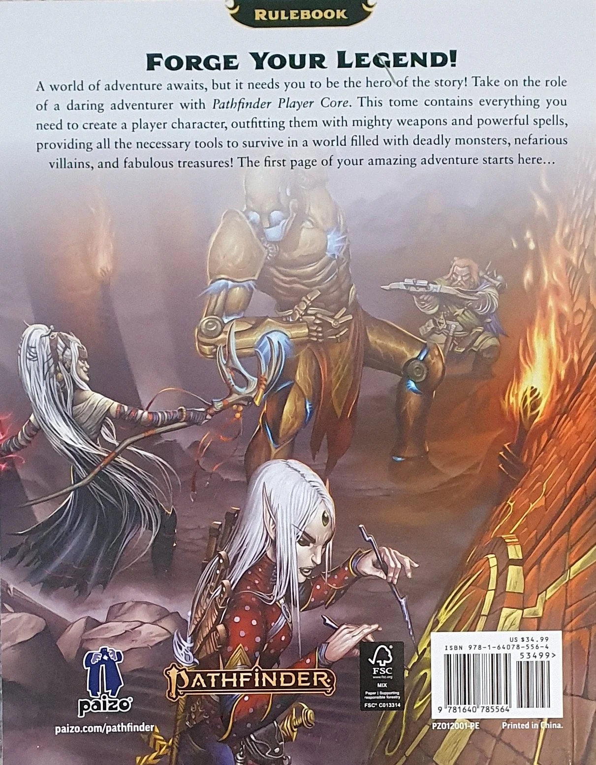 PATH PLAYER CORE BACK.jpg