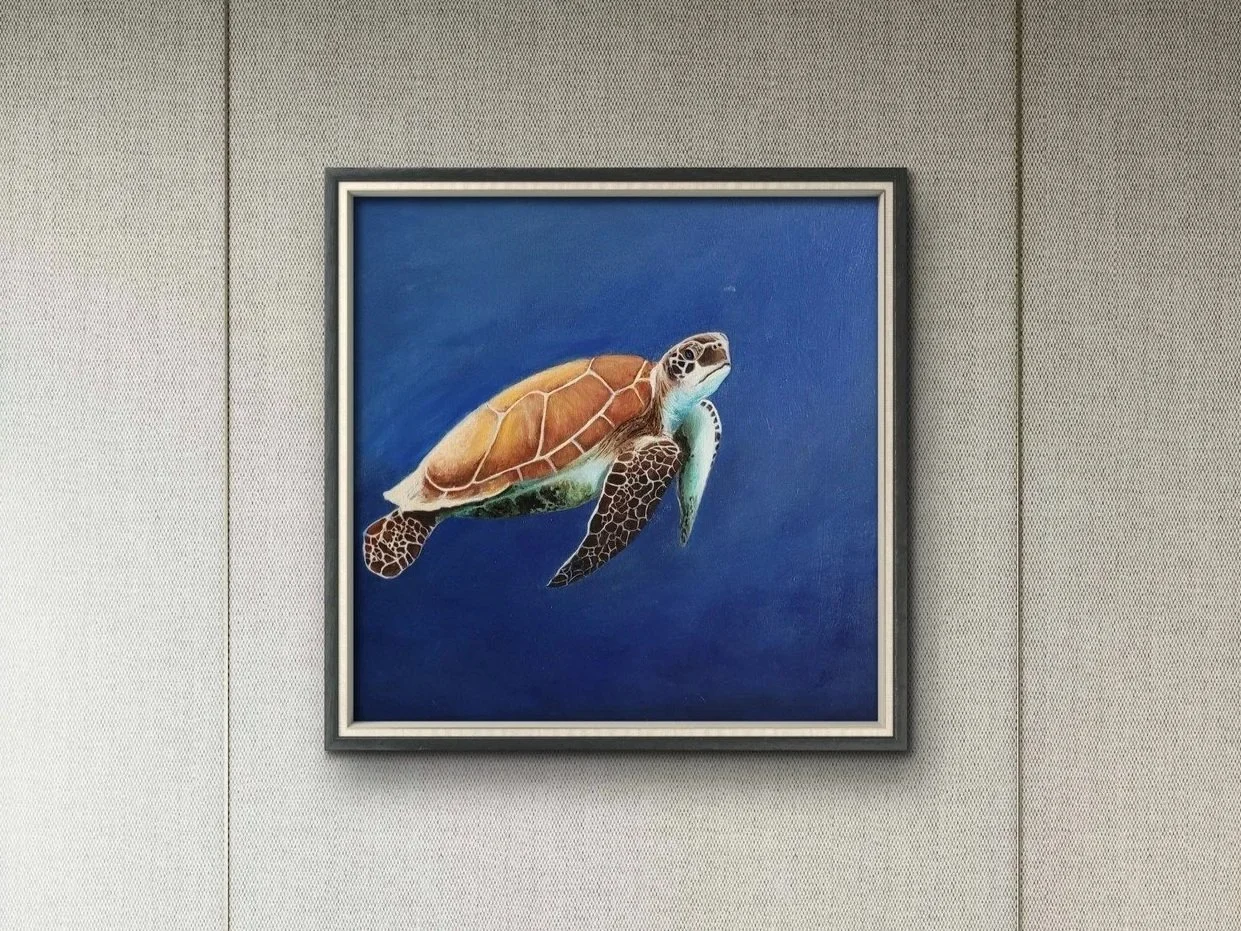 Deep+Sea+Turtle+3.jpg