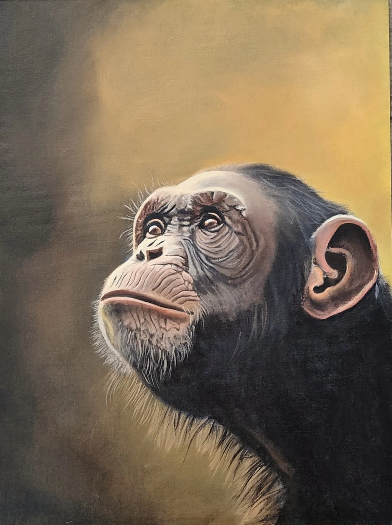 Realistische schildering van een chimpansees hoofd, met een aarzeling achtergrond in tinten van bruin en geel.