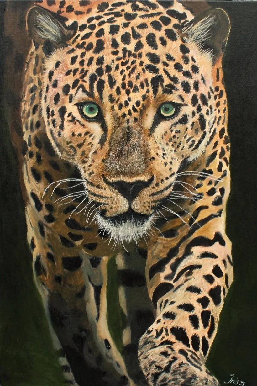 Realistische schildering van een jaguar die recht naar voren kijkt, met groene ogen en een kenmerkende vlekkenpatroon op zijn vacht.