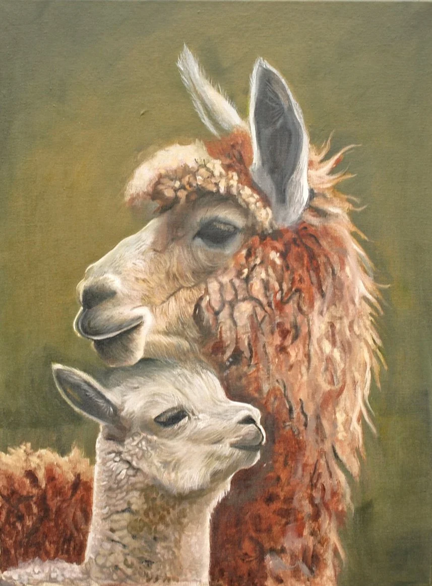 Echoes of Tenderness