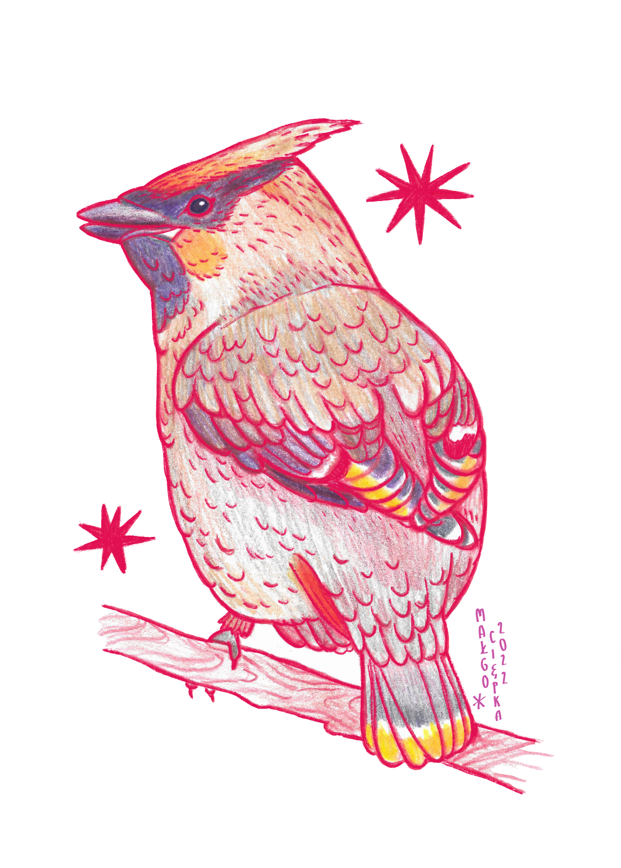 waxwing (1).png