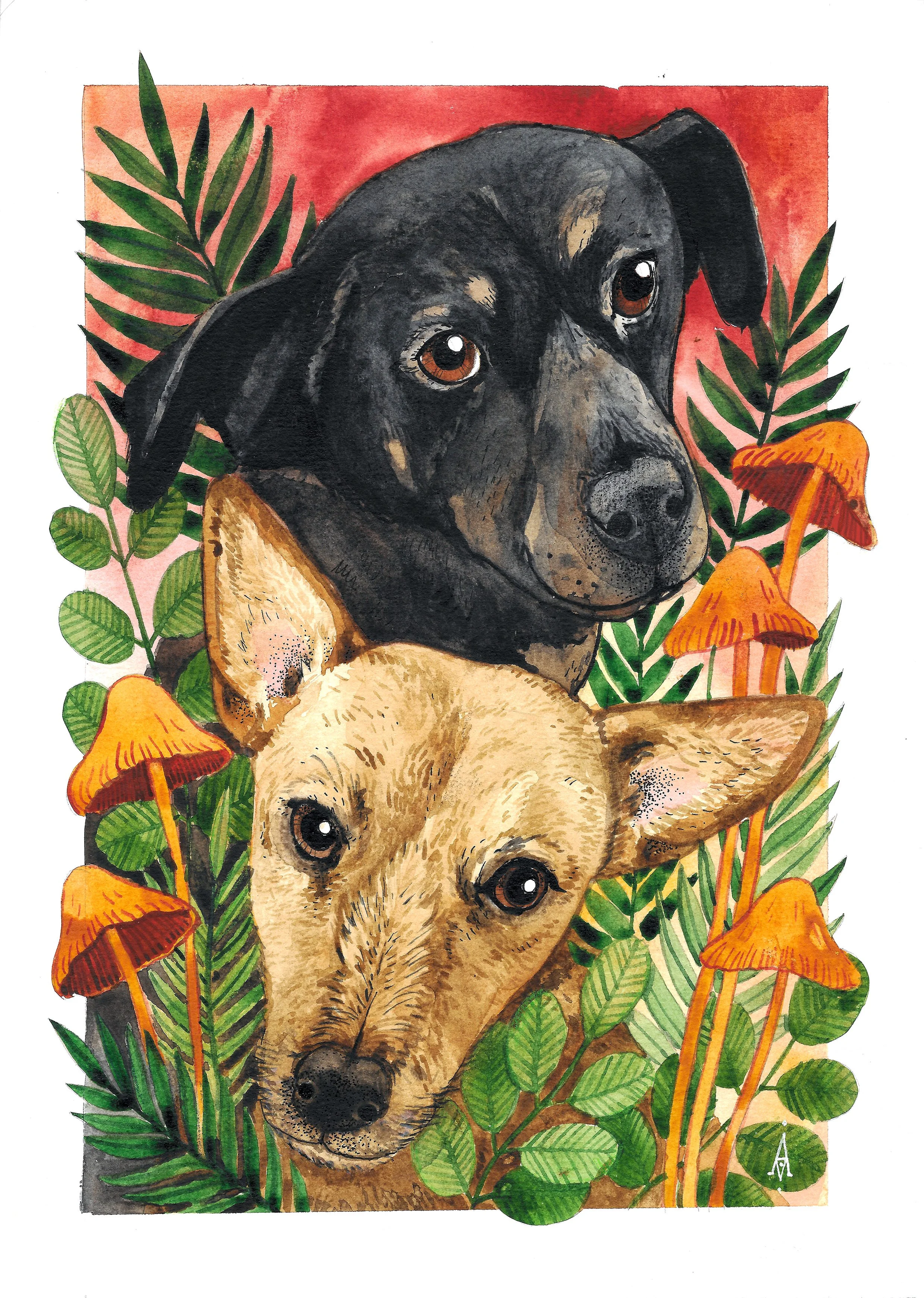 tofka_i_rudy (2021_04_24 09_53_54 UTC).jpg