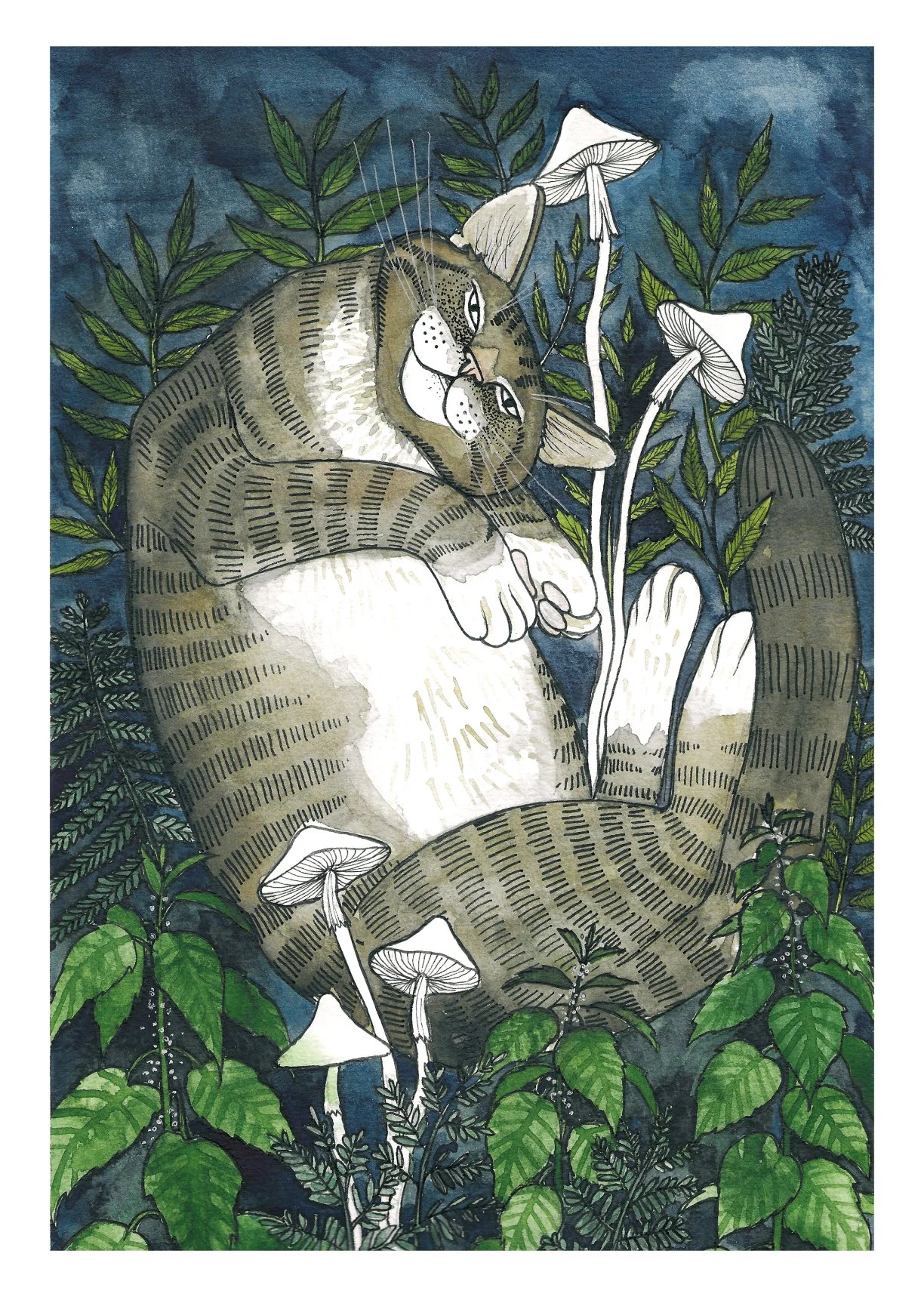 A4 kot w pokrzywach.jpg