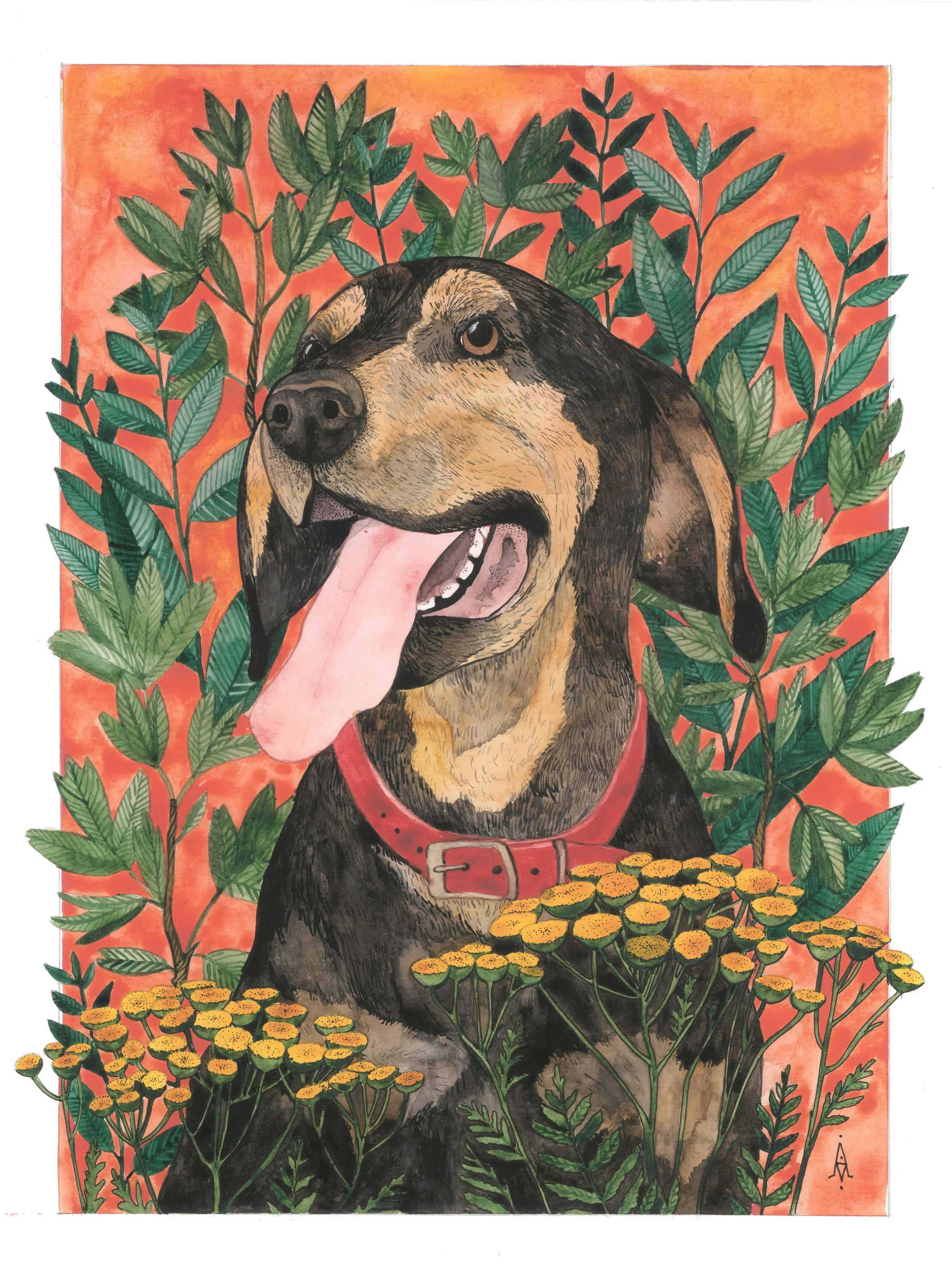 Fuks (2021_04_24 09_53_54 UTC).jpg