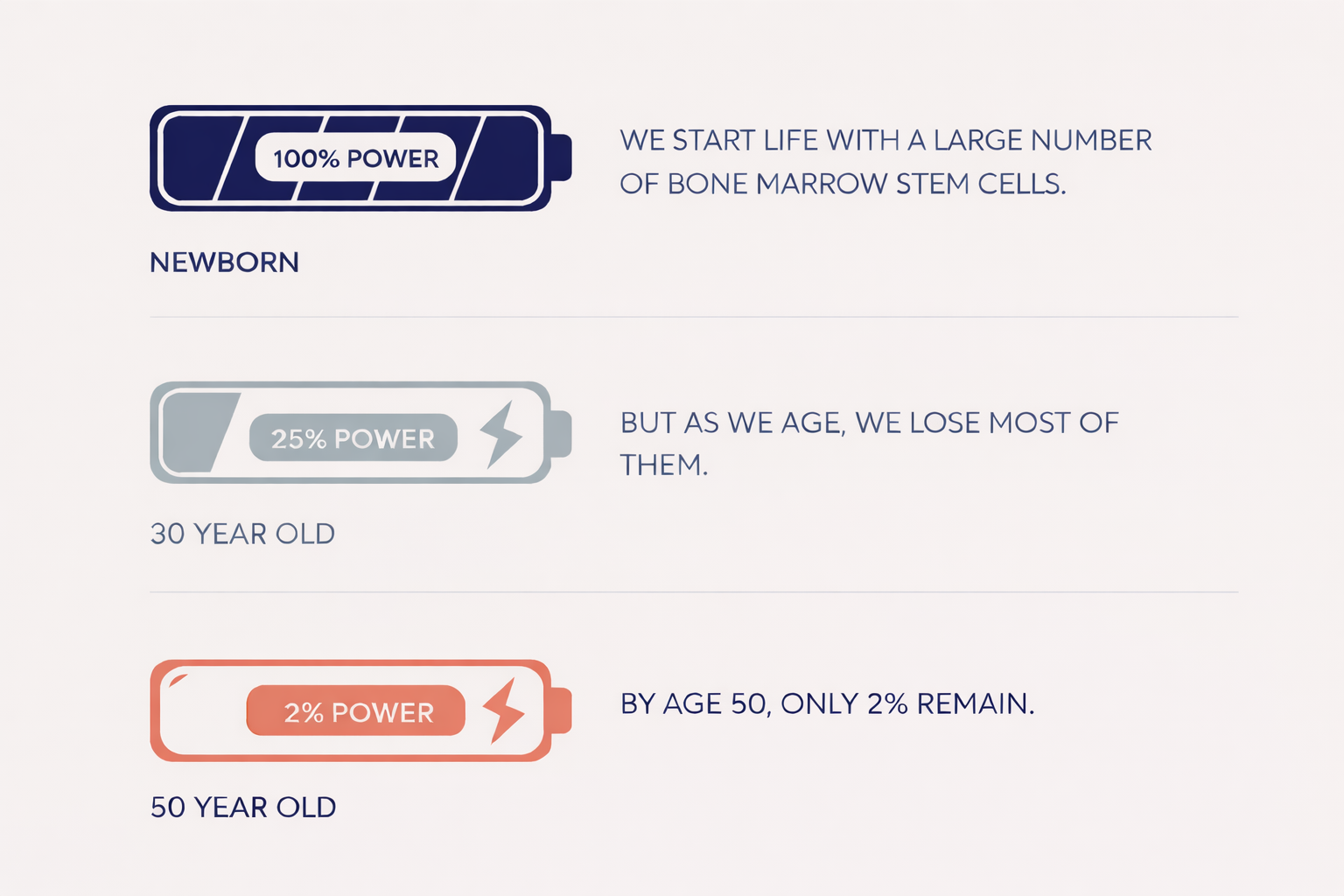 Diagram showing battery levels of bone marrow stem cells at different ages, with labels '100% Power' for newborn, '25% Power' at 30 years old, and '2% Power' at 50 years old, illustrating loss of stem cells with age.