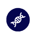 A dark blue circle with a black DNA strand symbol inside.