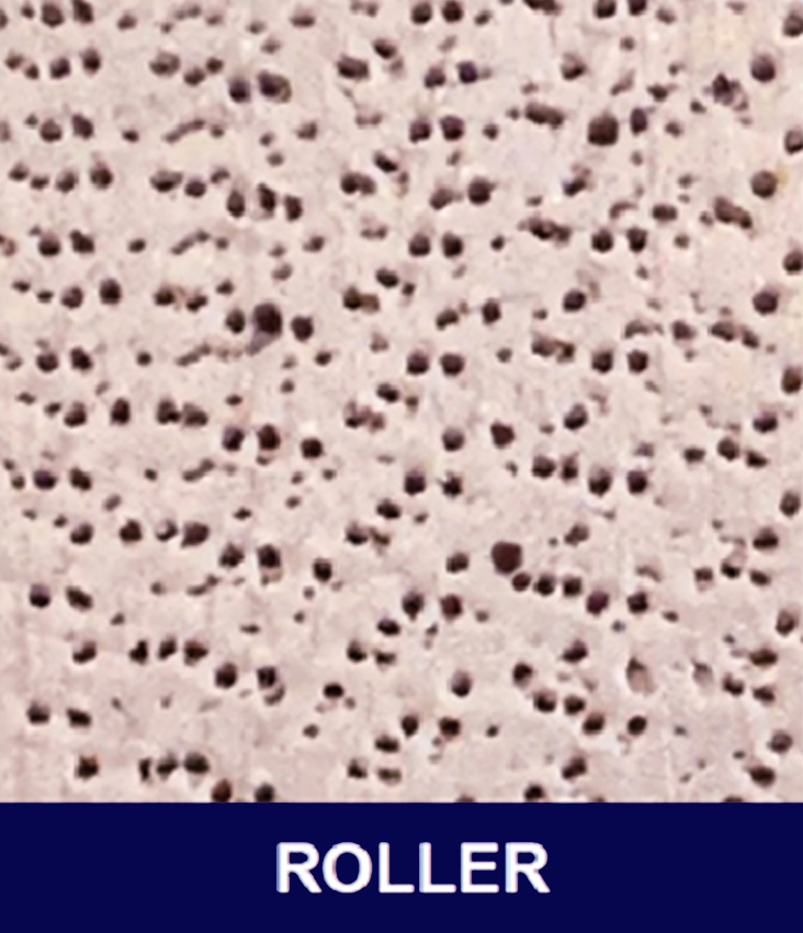 Close-up of a beige textured surface with many tiny holes, labeled 'ROLLER'.
