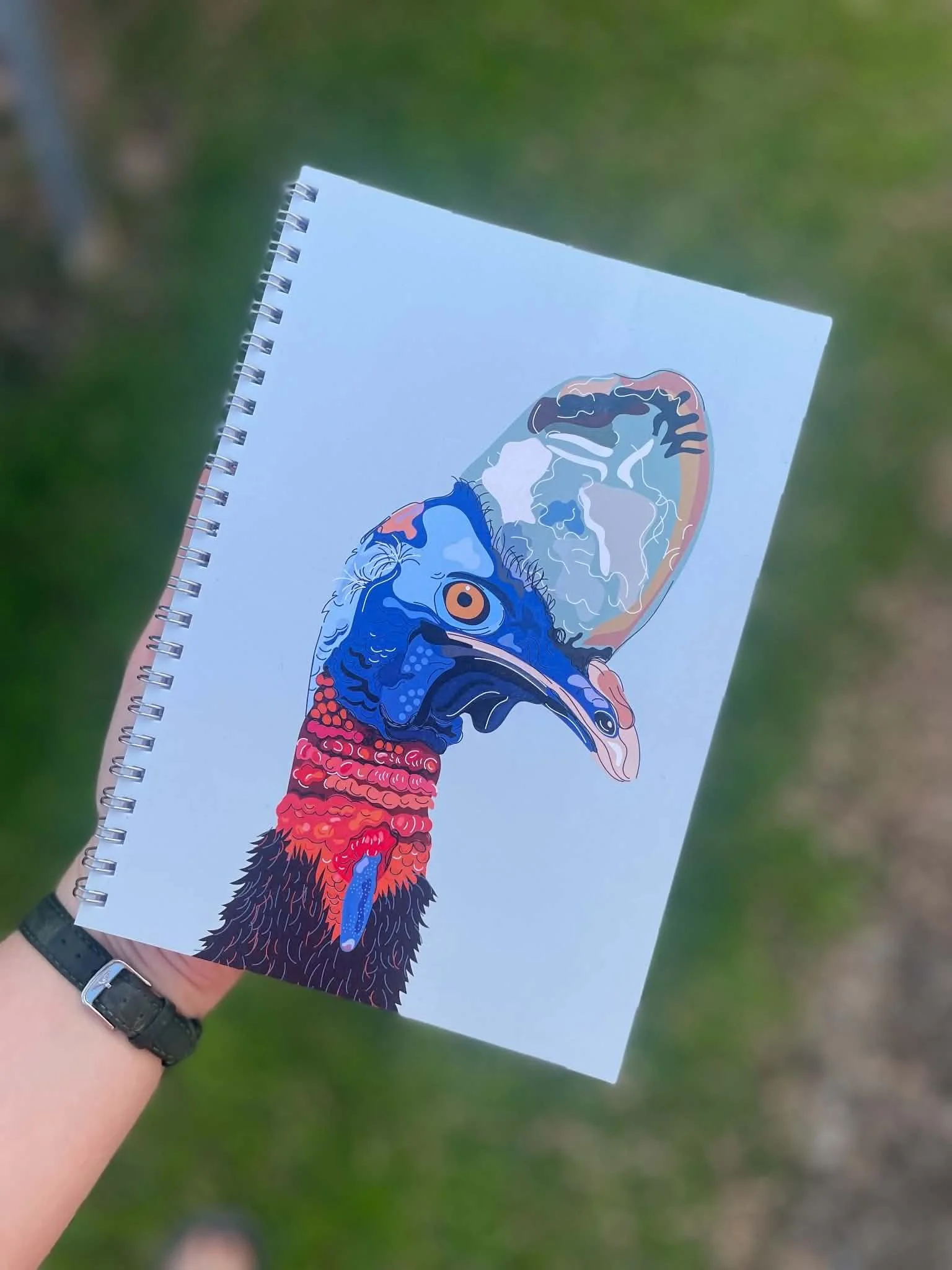 Cassowary notebook
