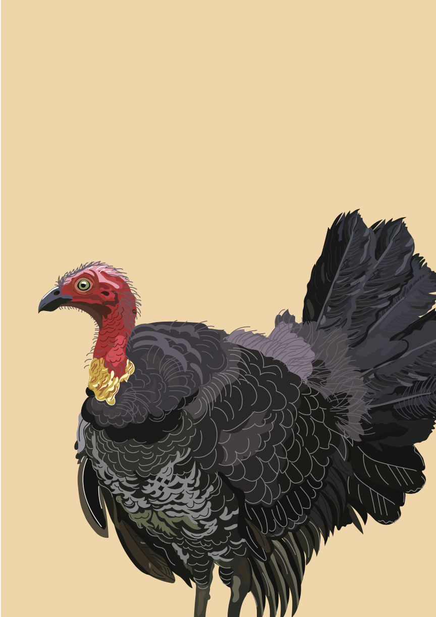 Screenshot 2026-04-07 at 12.40.49 pm.png