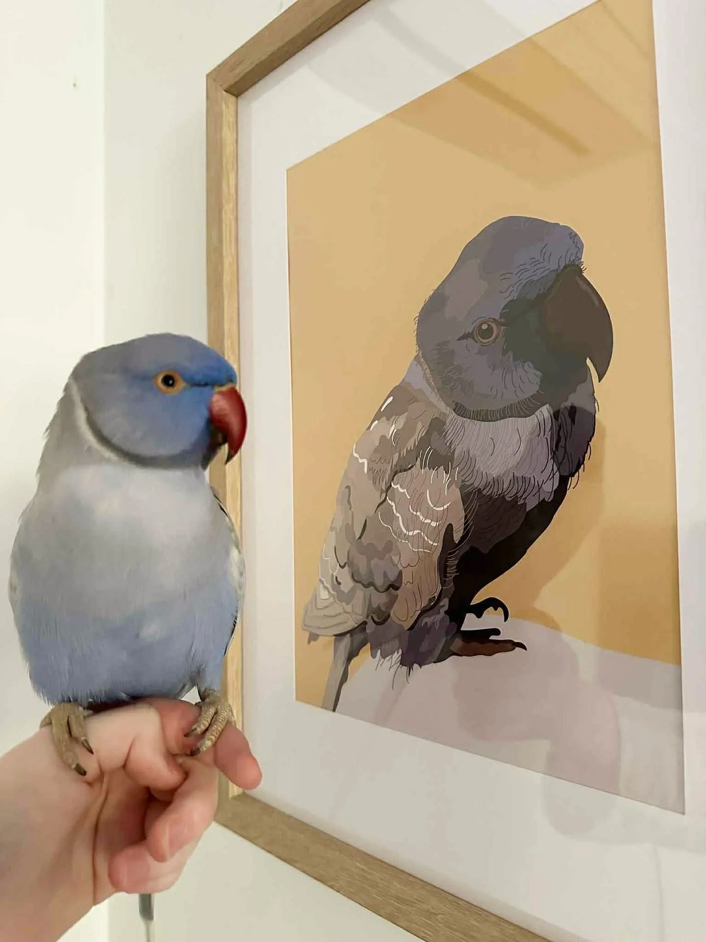 eb18b777-889a-4914-8a44-560fc1e556b7.jpeg (Copy)