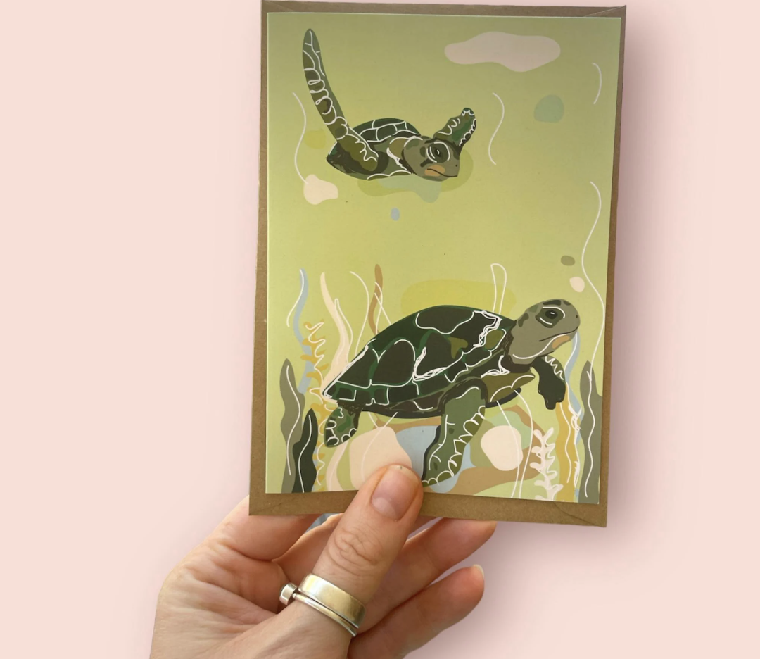 Green turtle friends