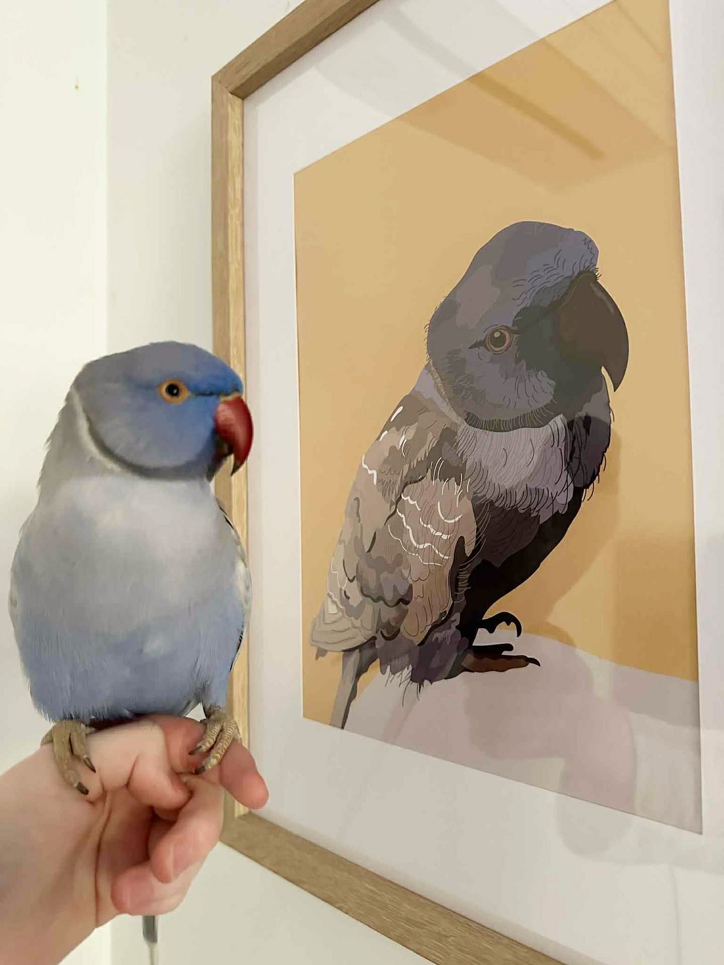 Custom pet portrait x3 pets