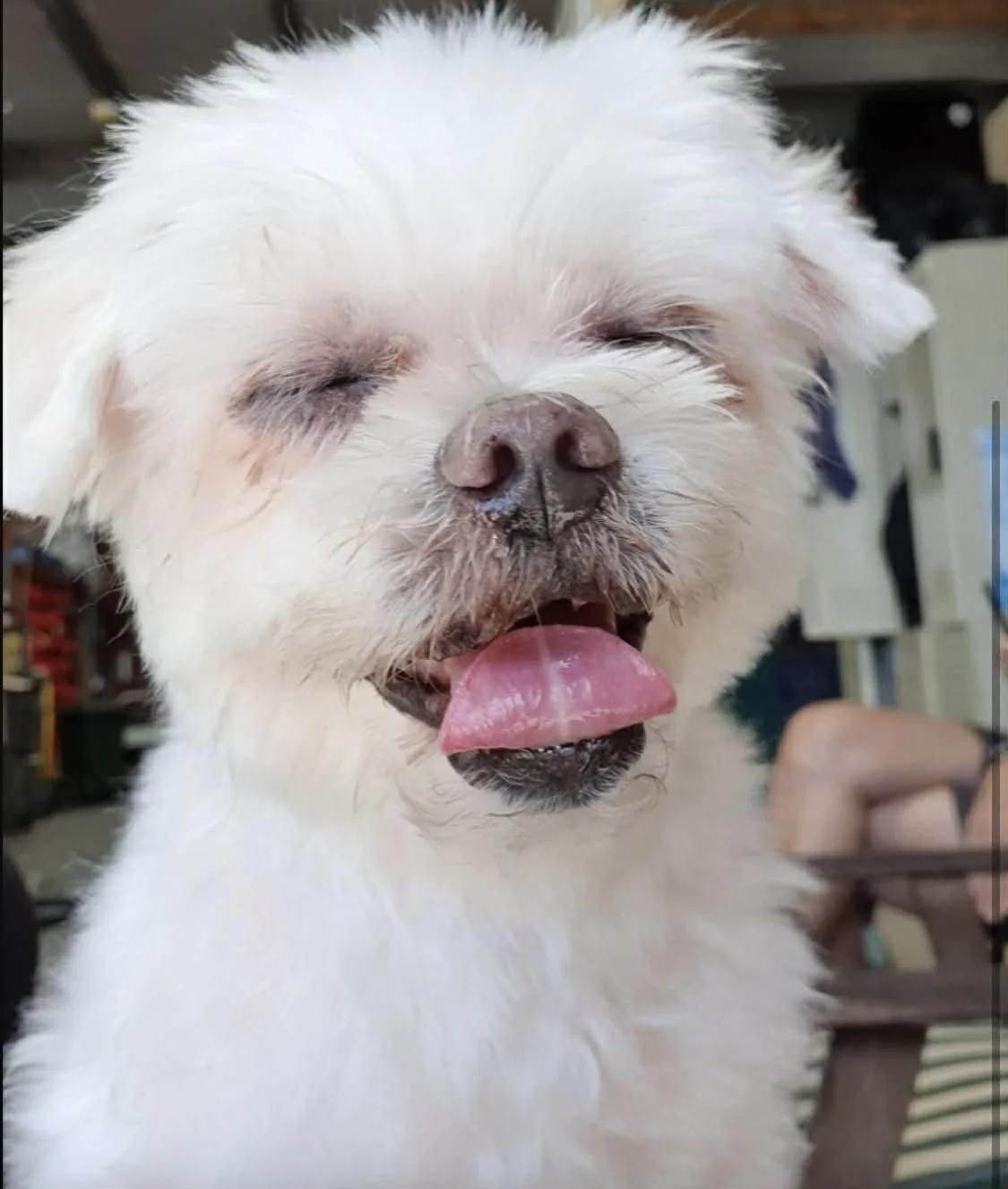 7bc0f74f-b9ce-4532-934b-180bec90d429.jpeg (Copy)