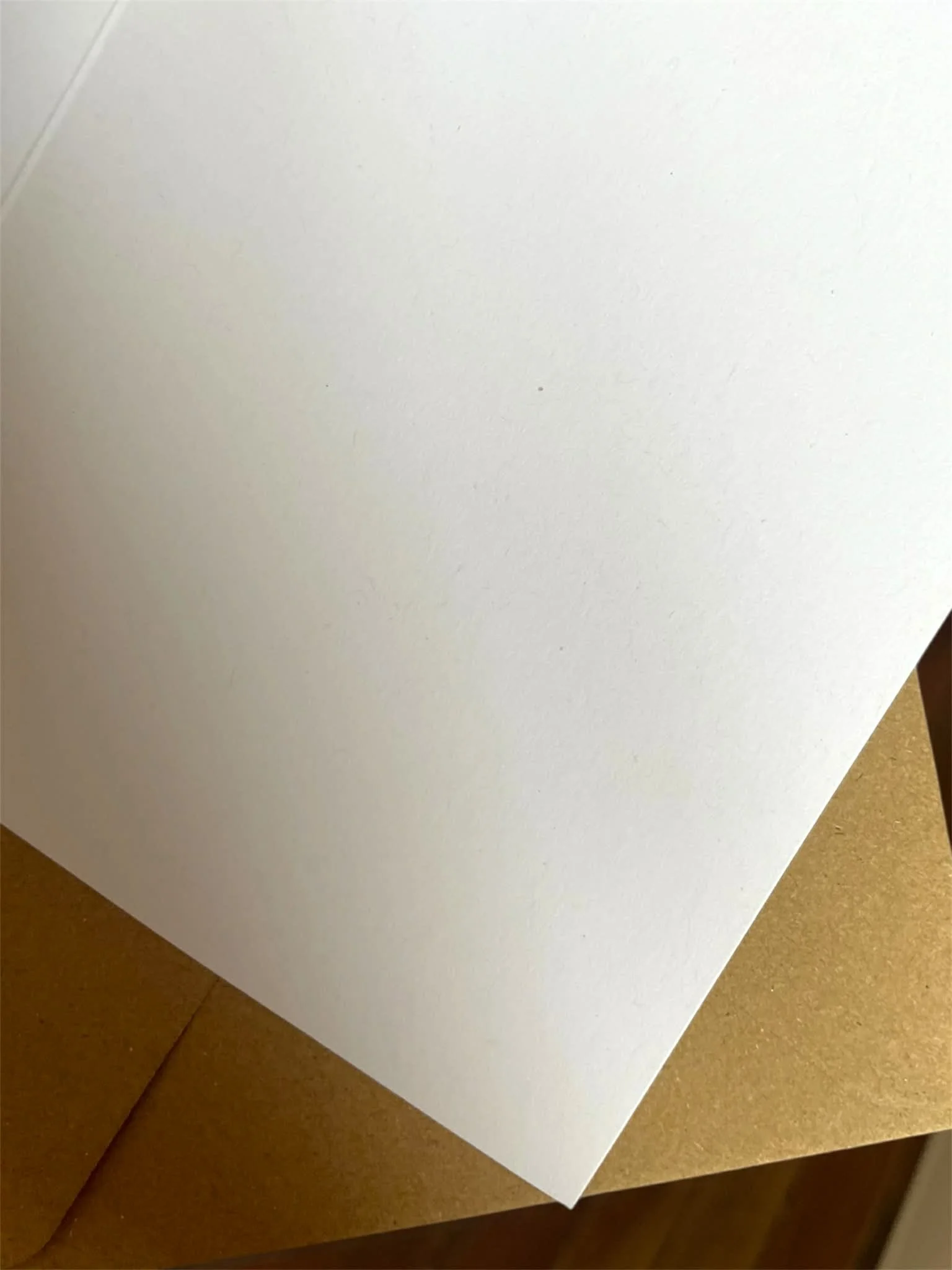 b7564423-4cde-48d3-bb41-3bb725a4e2ea.jpeg (Copy) (Copy) (Copy) (Copy) (Copy)