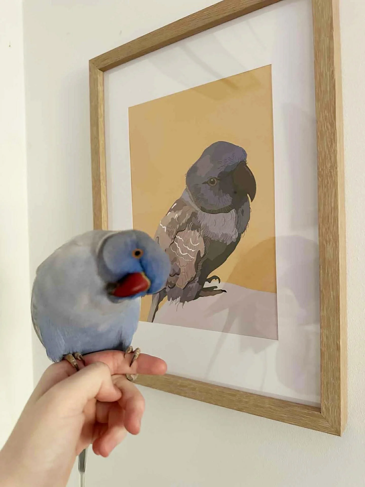 c2b54267-95ae-467d-af78-2b0a295c136b.jpeg (Copy)