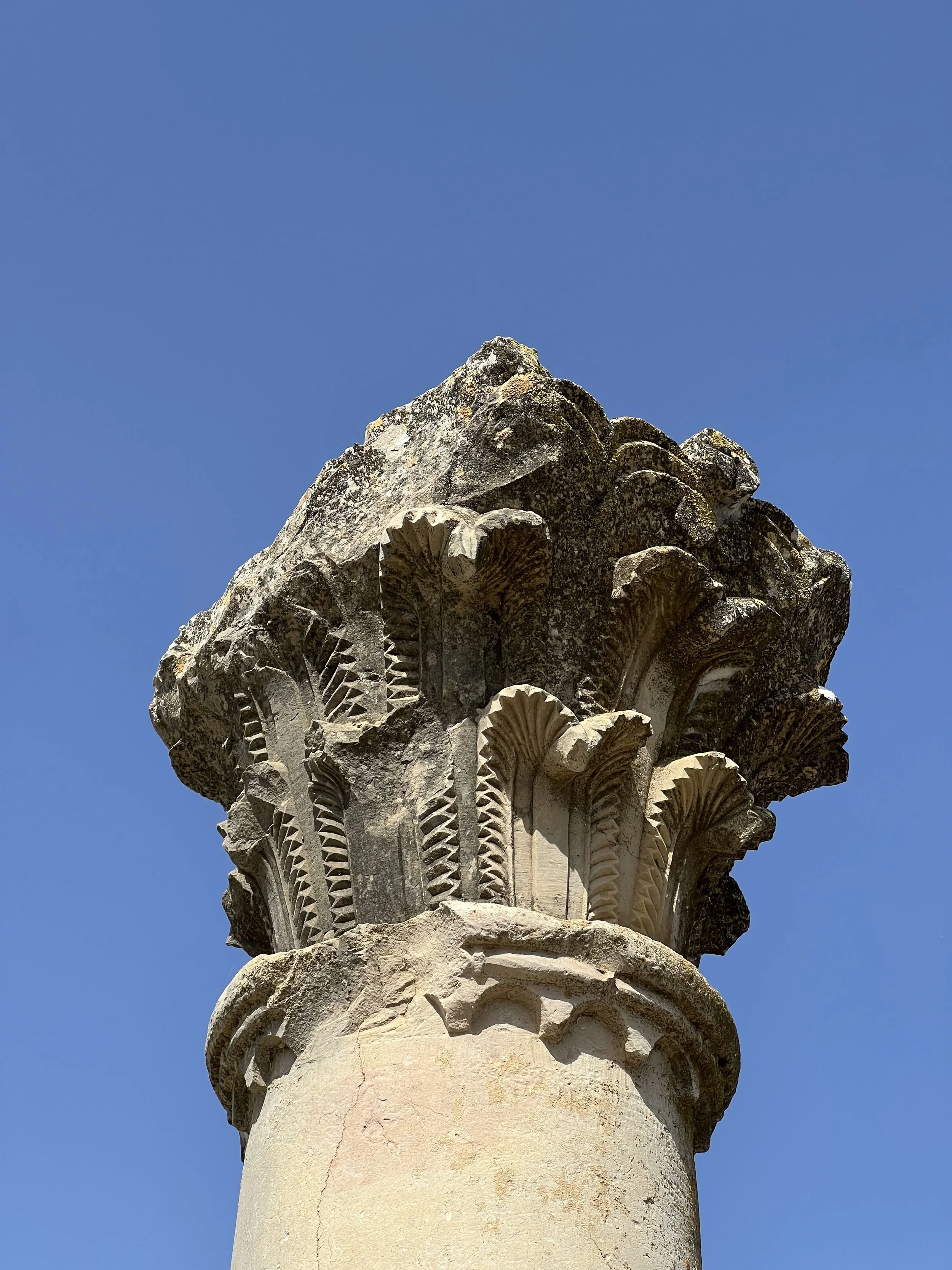 IMG_8484.JPG