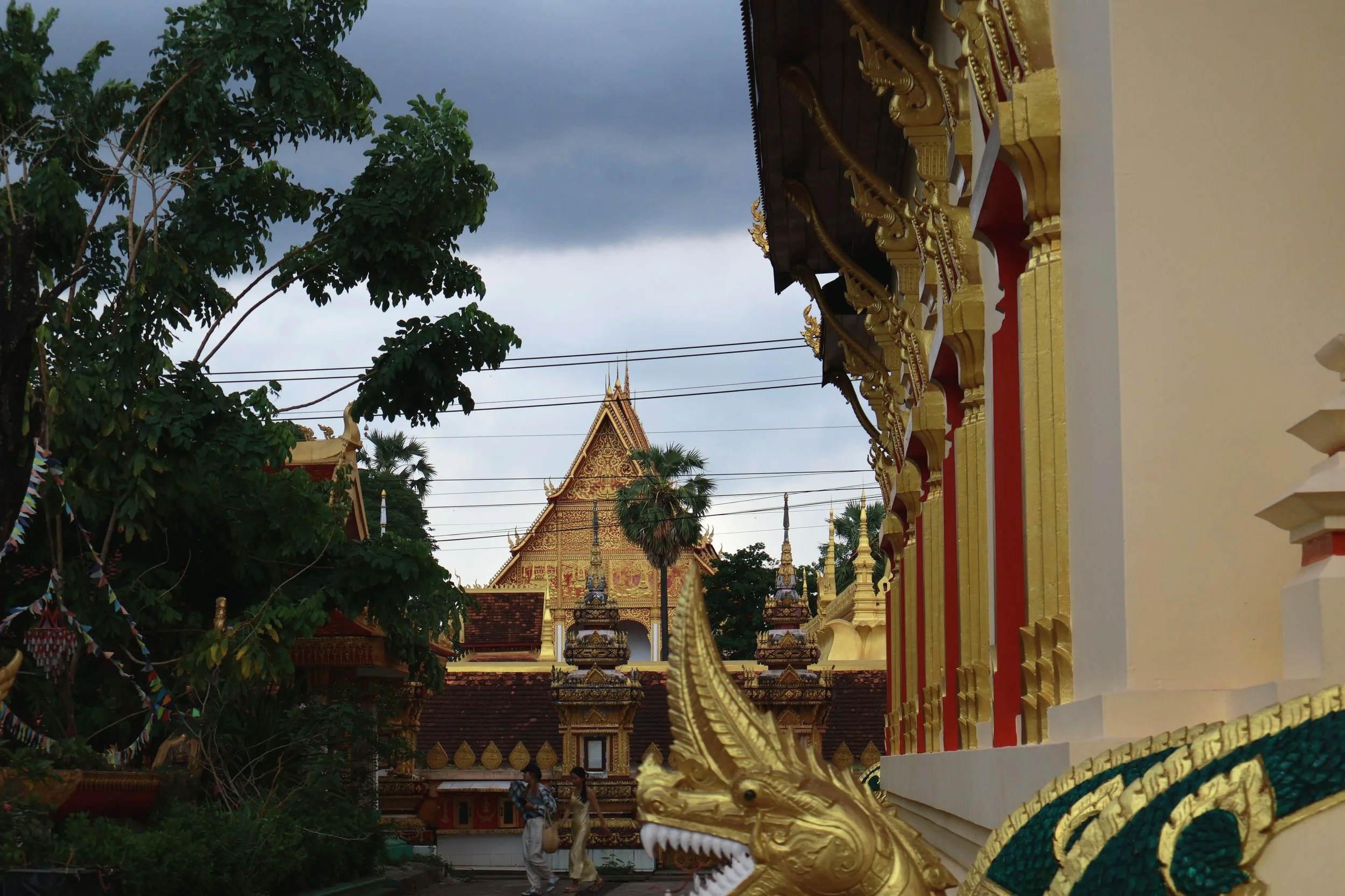 IMG_6809.png