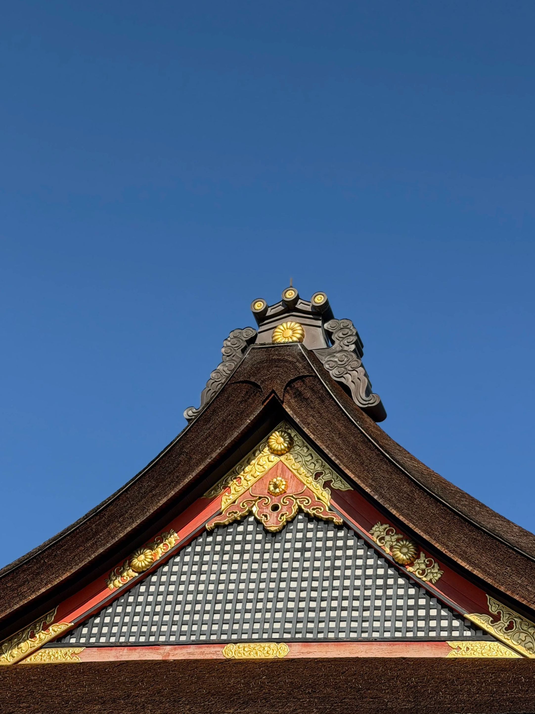 68CB854D-7AB6-4508-BB2C-7BDE48F4368D.png