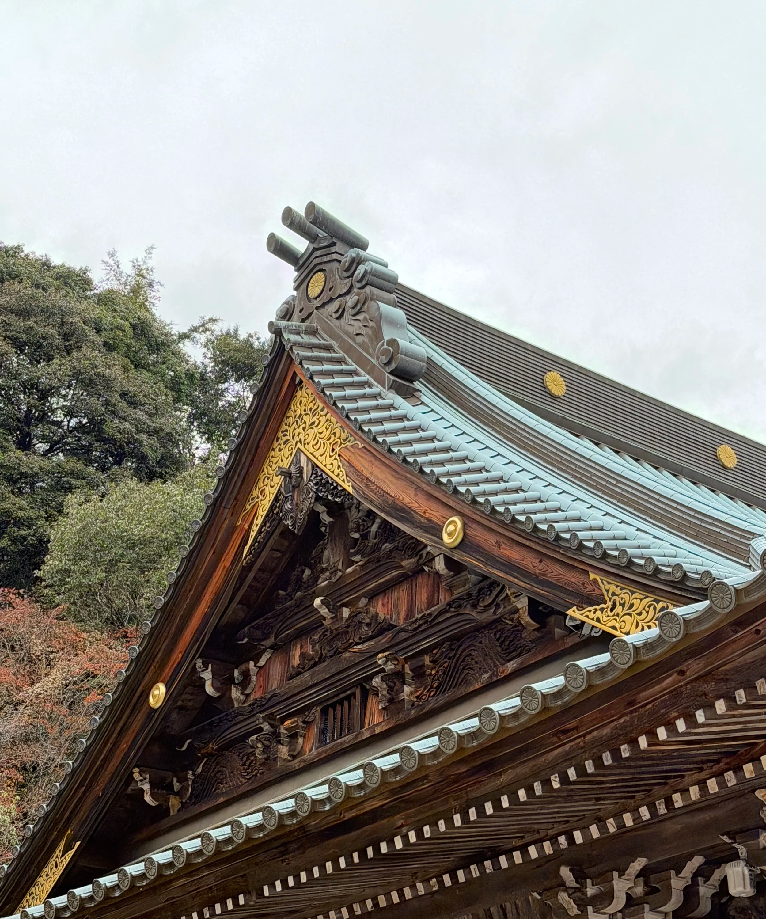 BEA78EF7-4A16-4619-ACF3-F33E7804068C.png