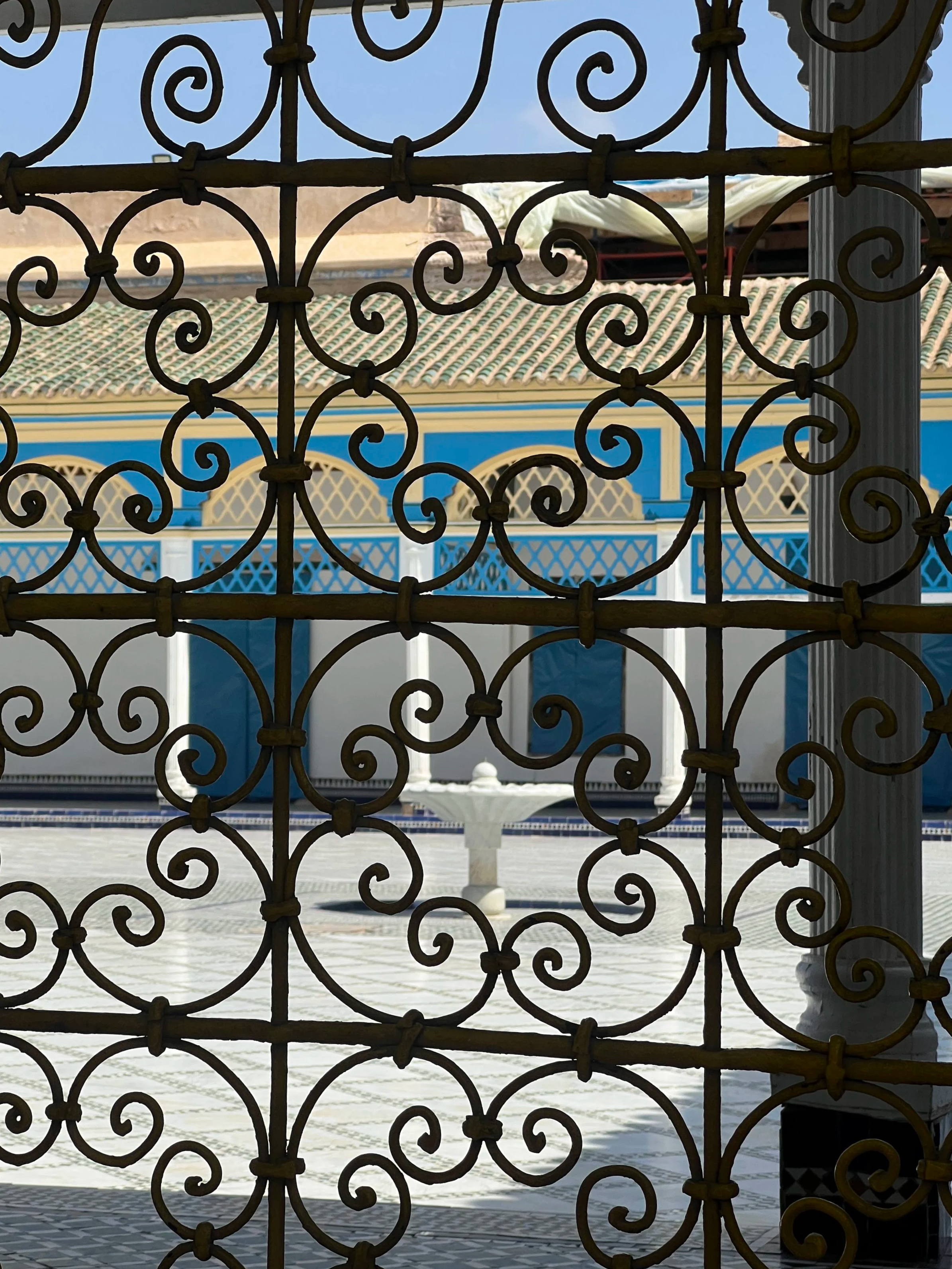 IMG_3228.png