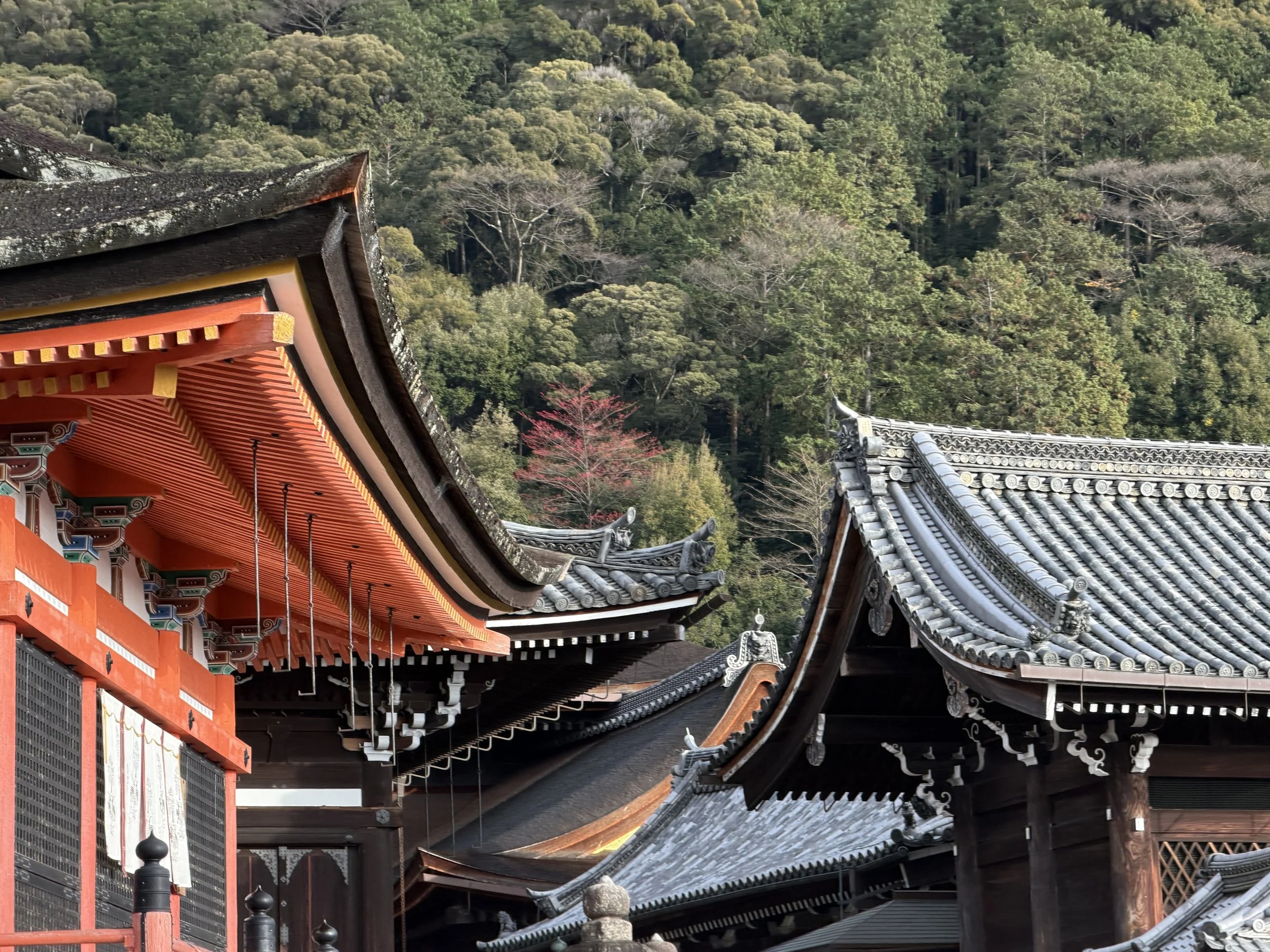 A012FB14-CF50-4FFC-875F-692BFA56577C.JPG