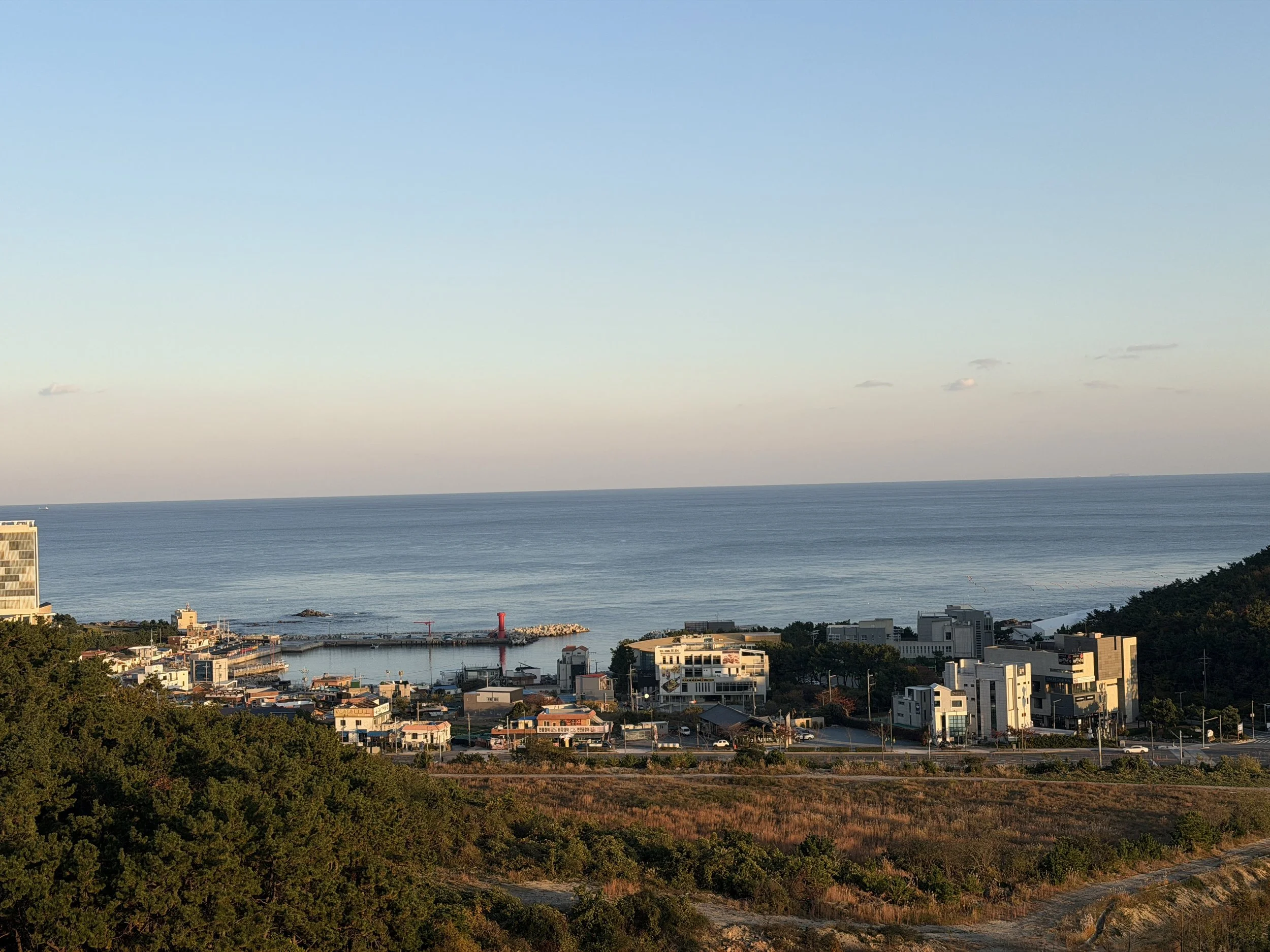 View of a coastal city with buildings, trees, and a harbor, overlooking the ocean under a clear blue sky.