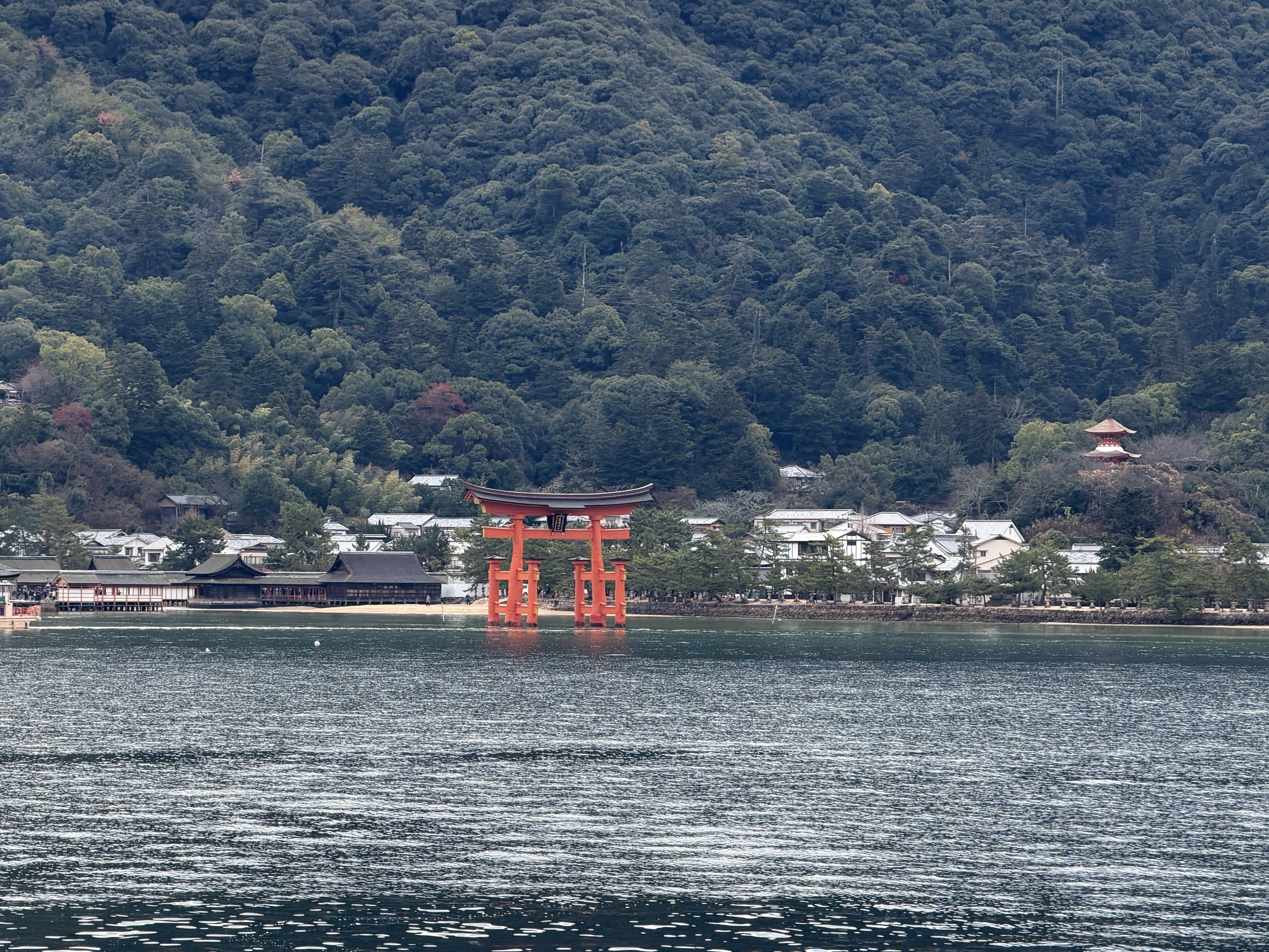 933FA192-0DFF-48A4-A253-2F5A40BEC274.JPG
