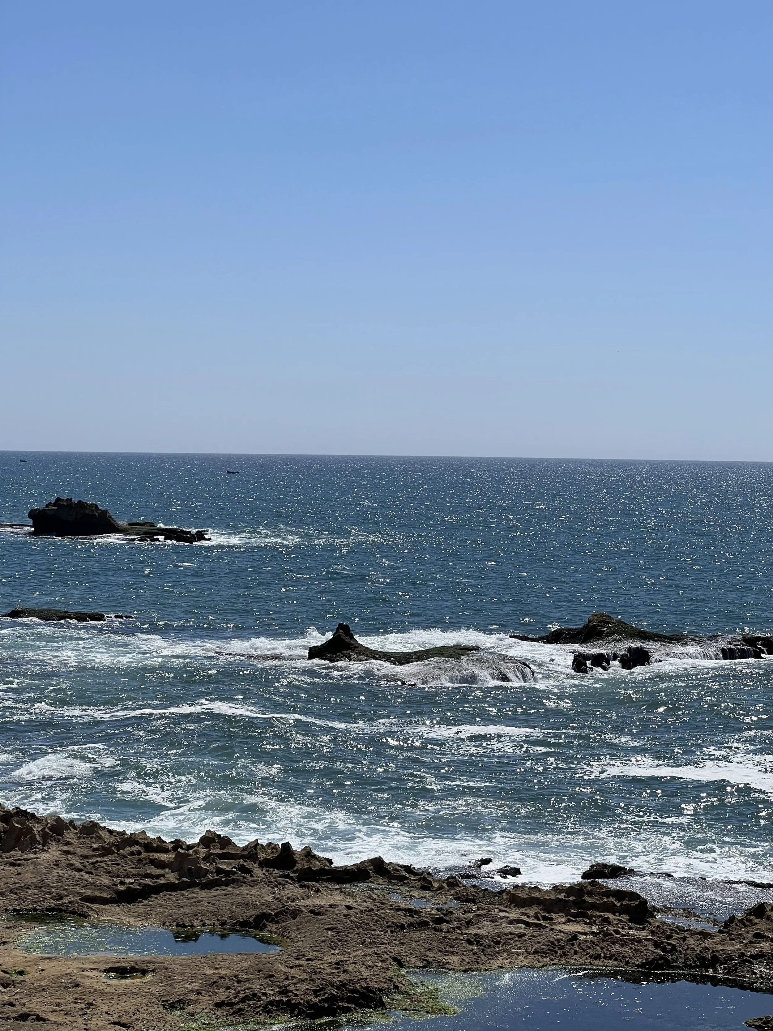 IMG_2644.JPG