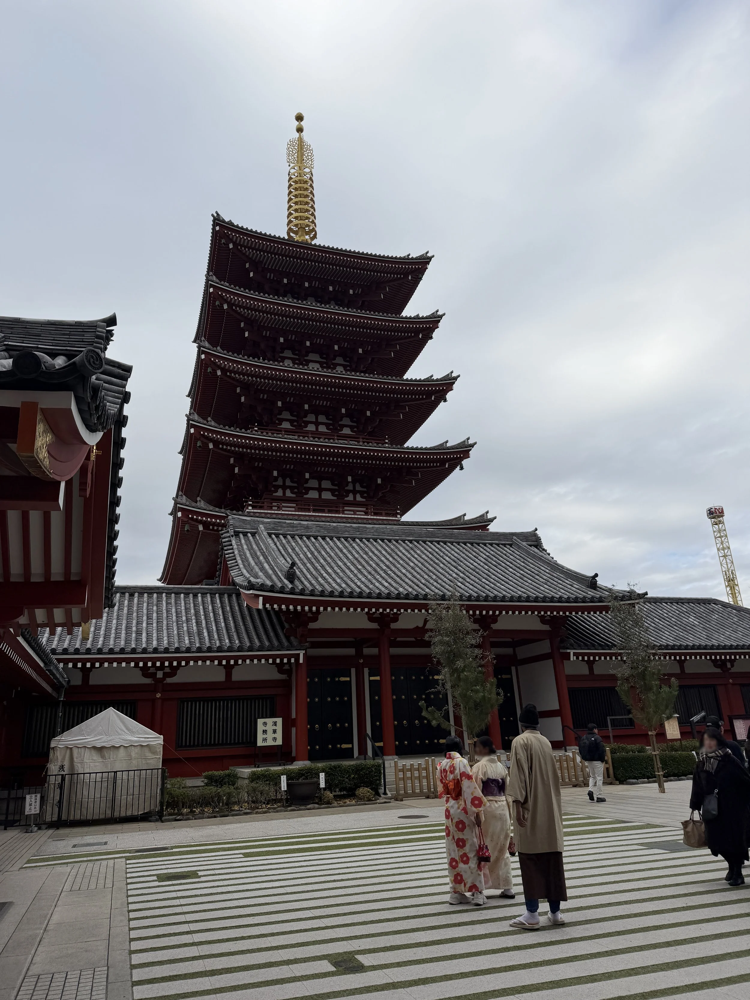 IMG_2115a.jpg