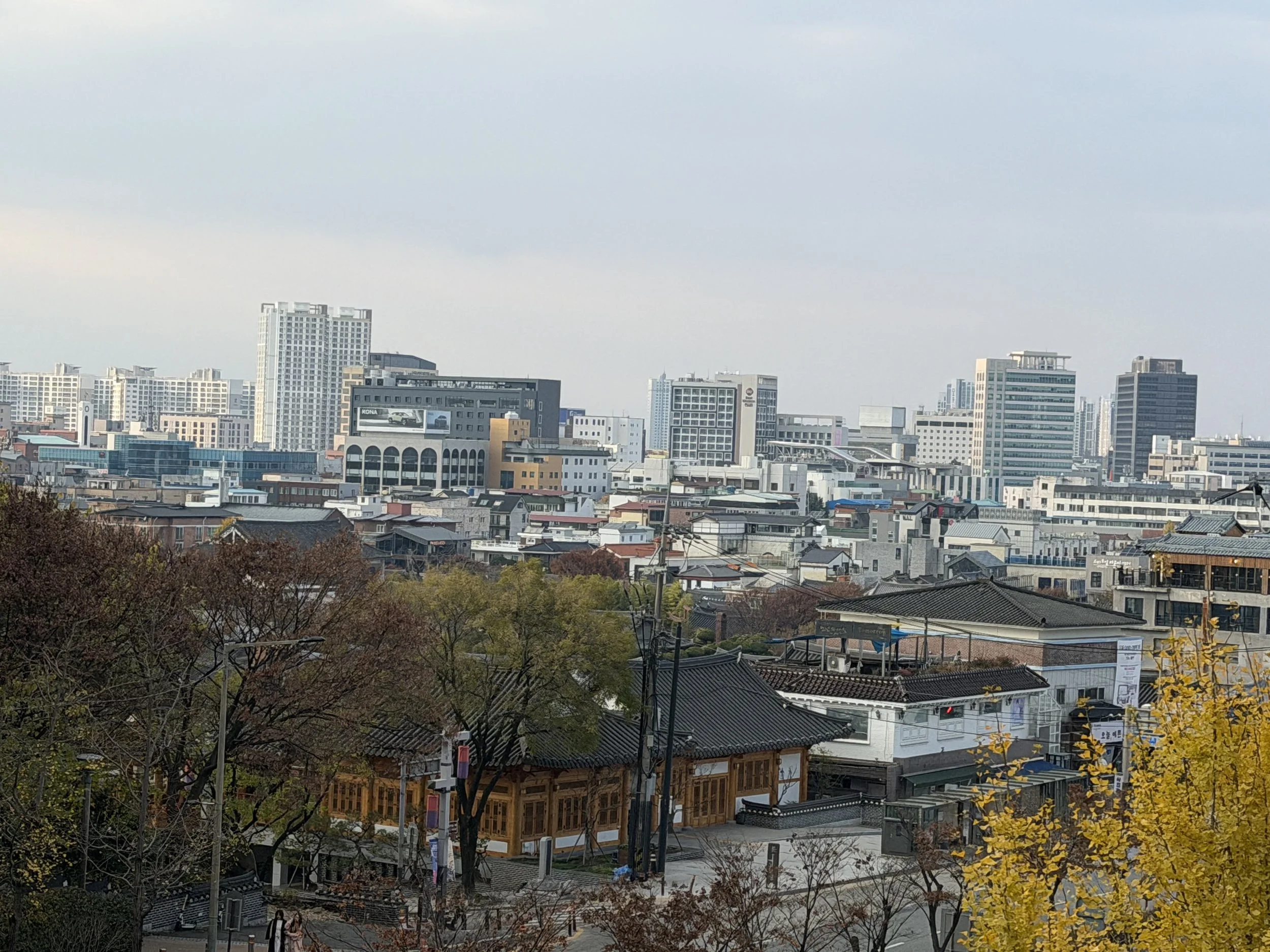 IMG_4913.JPG