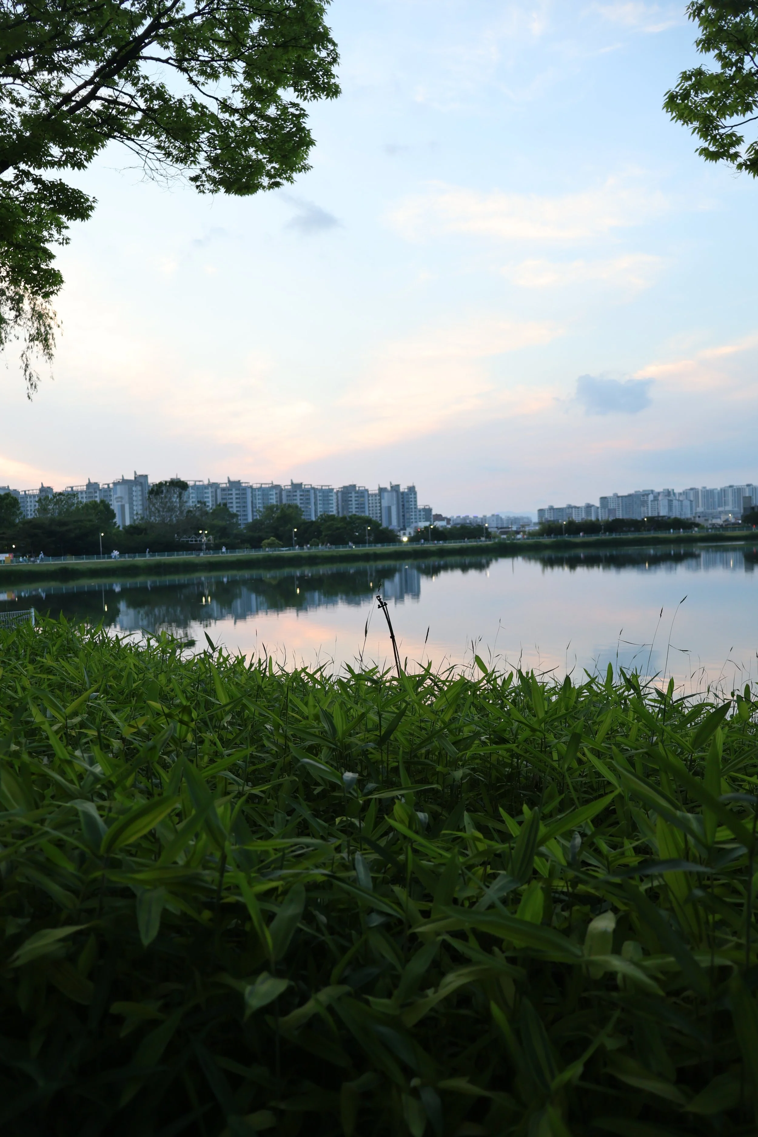 IMG_8725.JPG