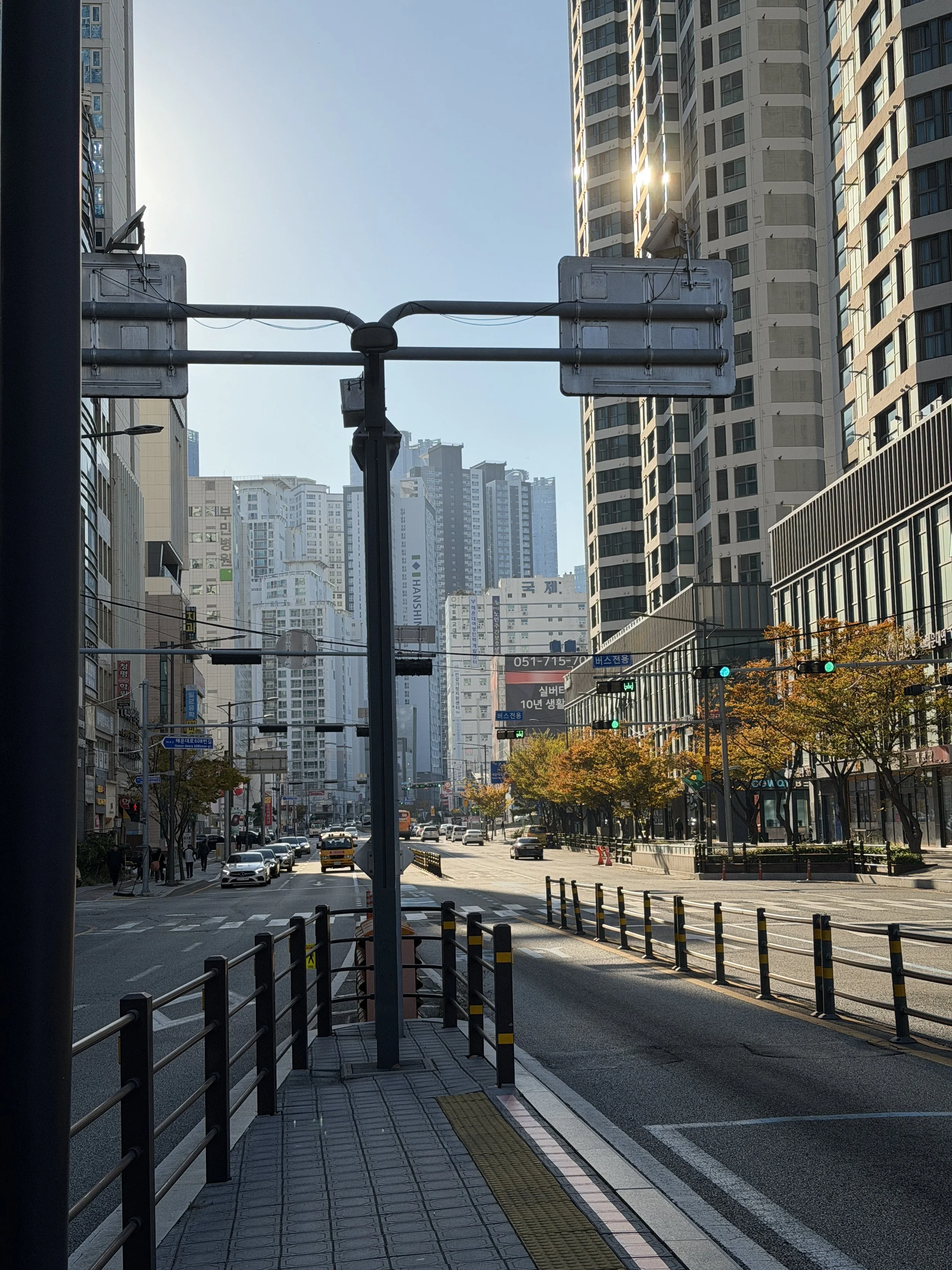 Street scene in a city with tall buildings, cars on the road, trees with autumn leaves, traffic signals, and urban infrastructure.