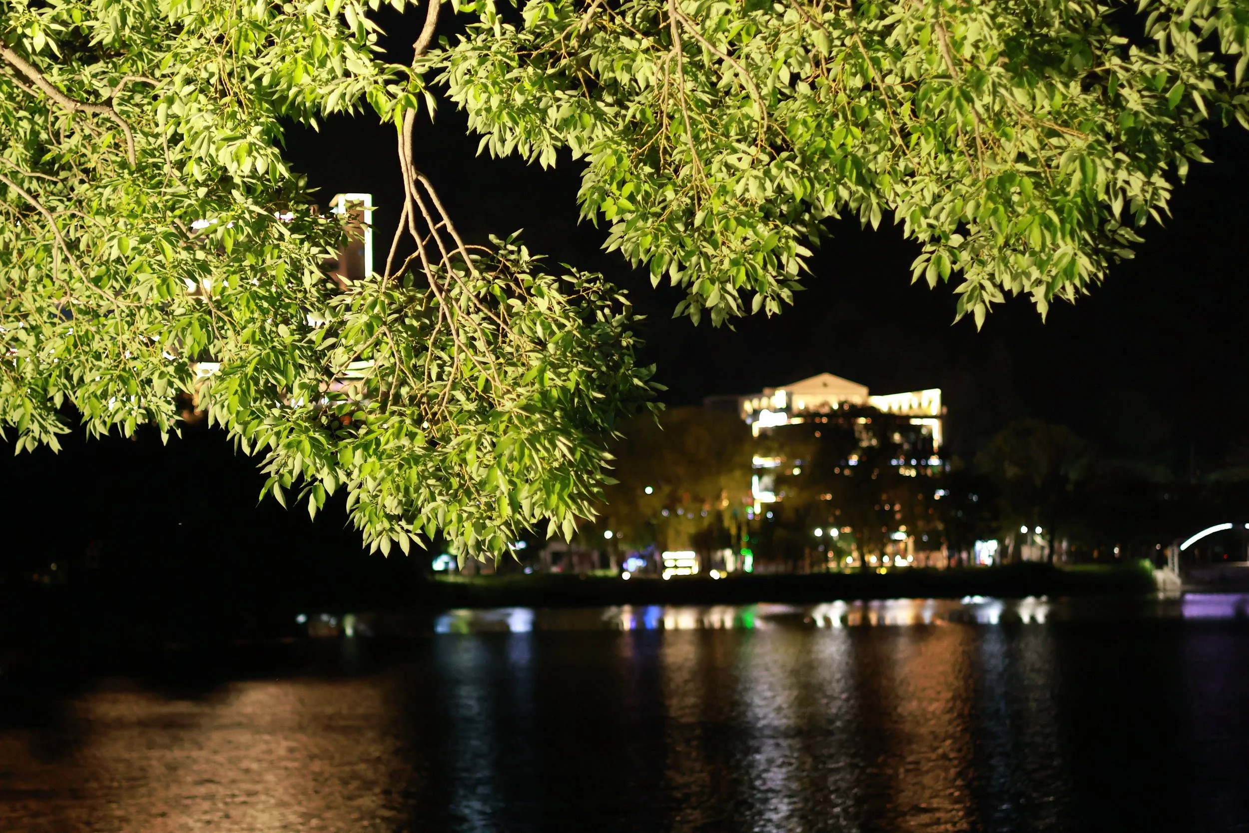 IMG_8843.JPG