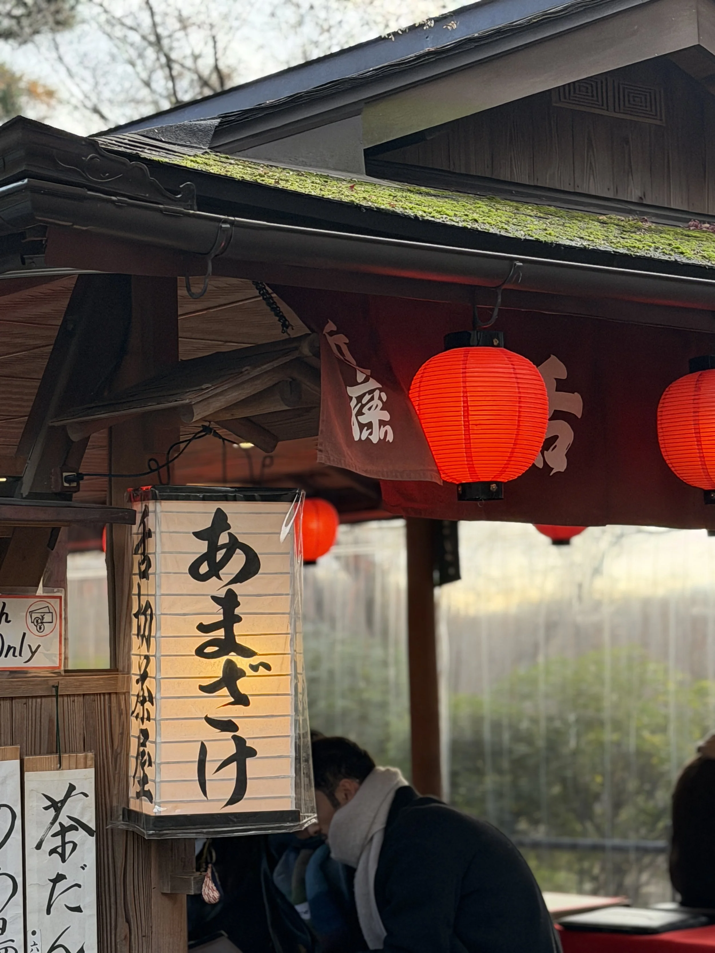 695EBC7A-2DD6-45C6-9358-8B57AD7DDA39.JPG