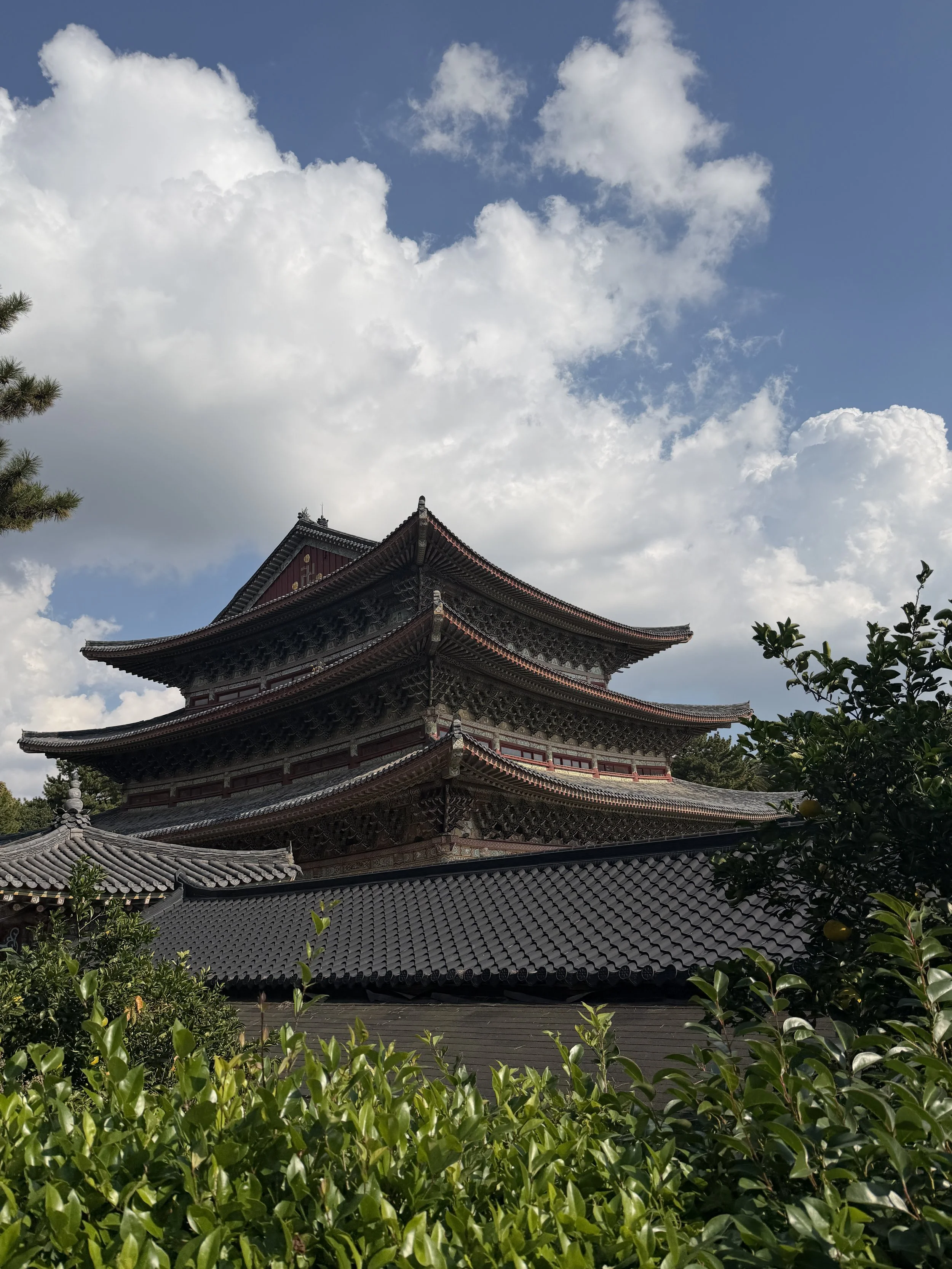 IMG_7868.JPG